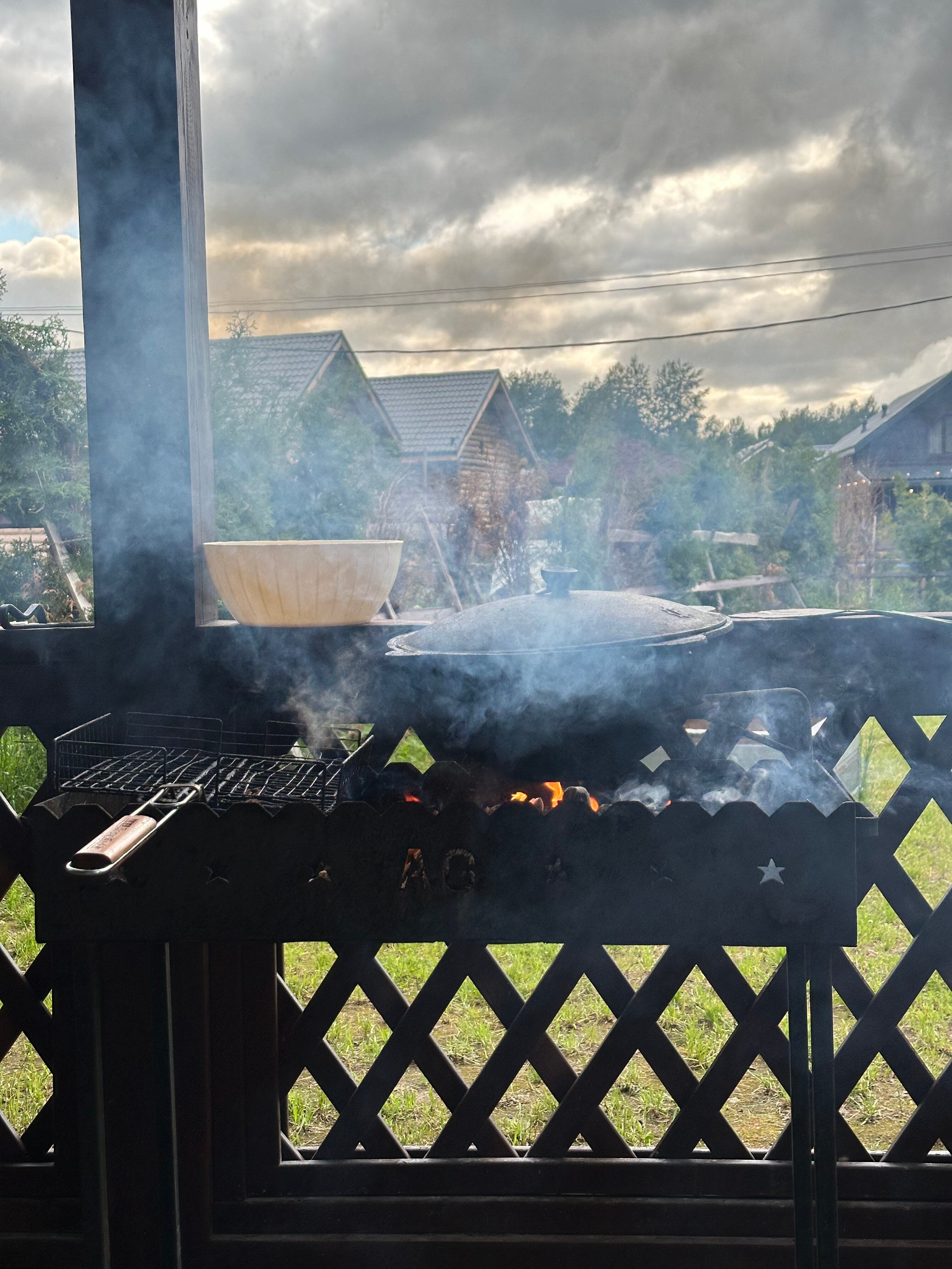 Фото Лесная Сова