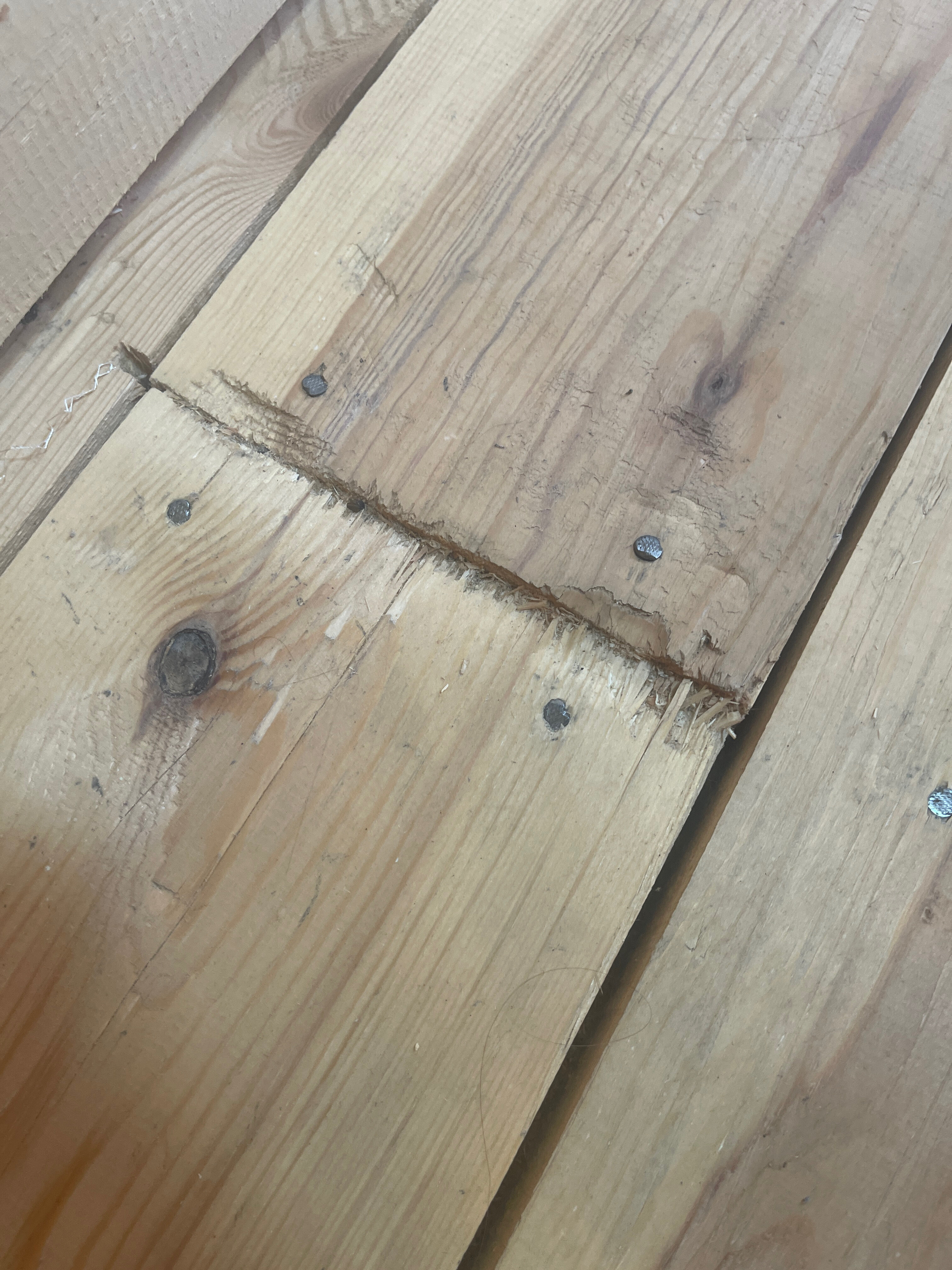 Фото Сила Сибири Акташ