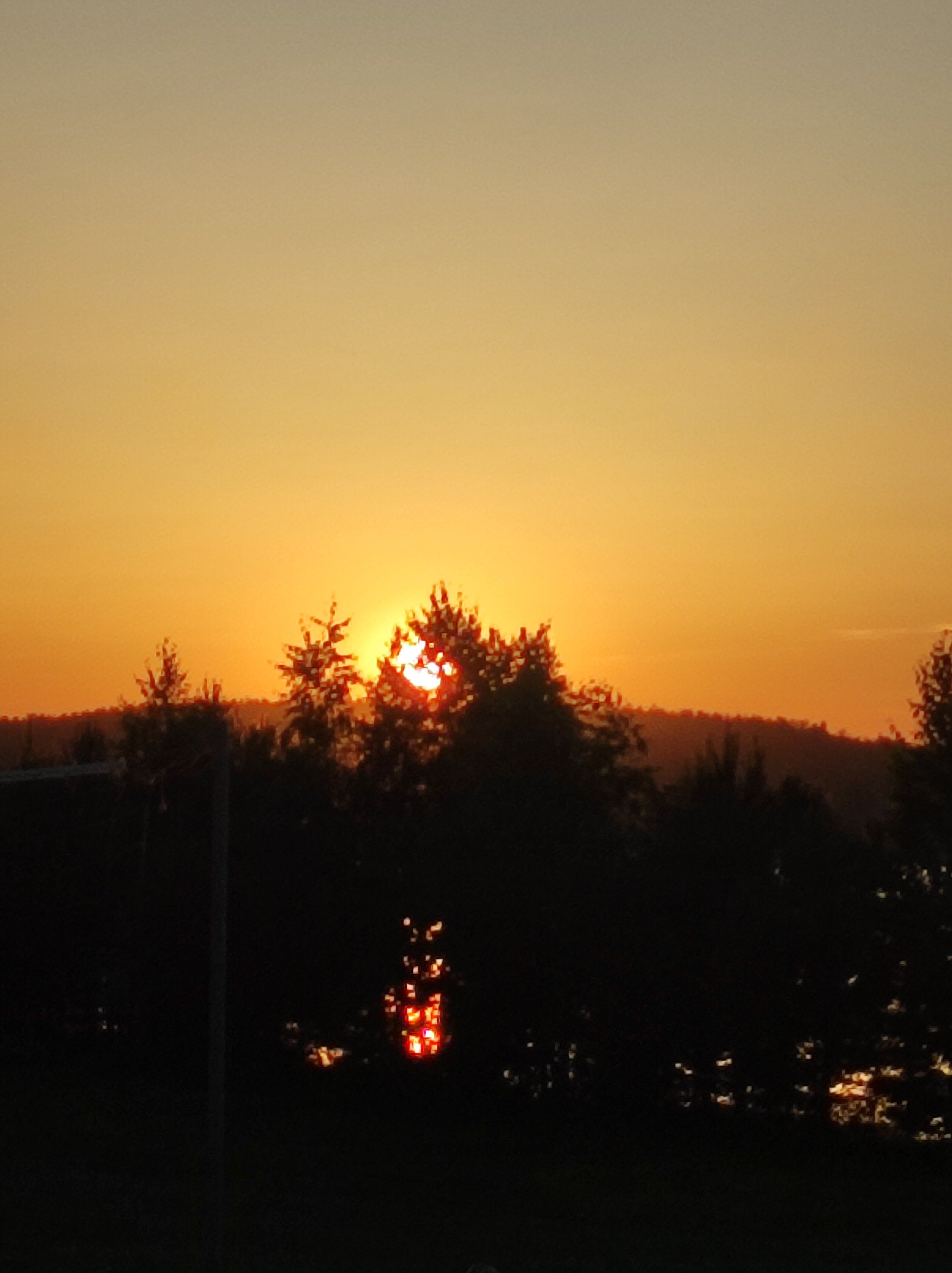 Фото Лестория