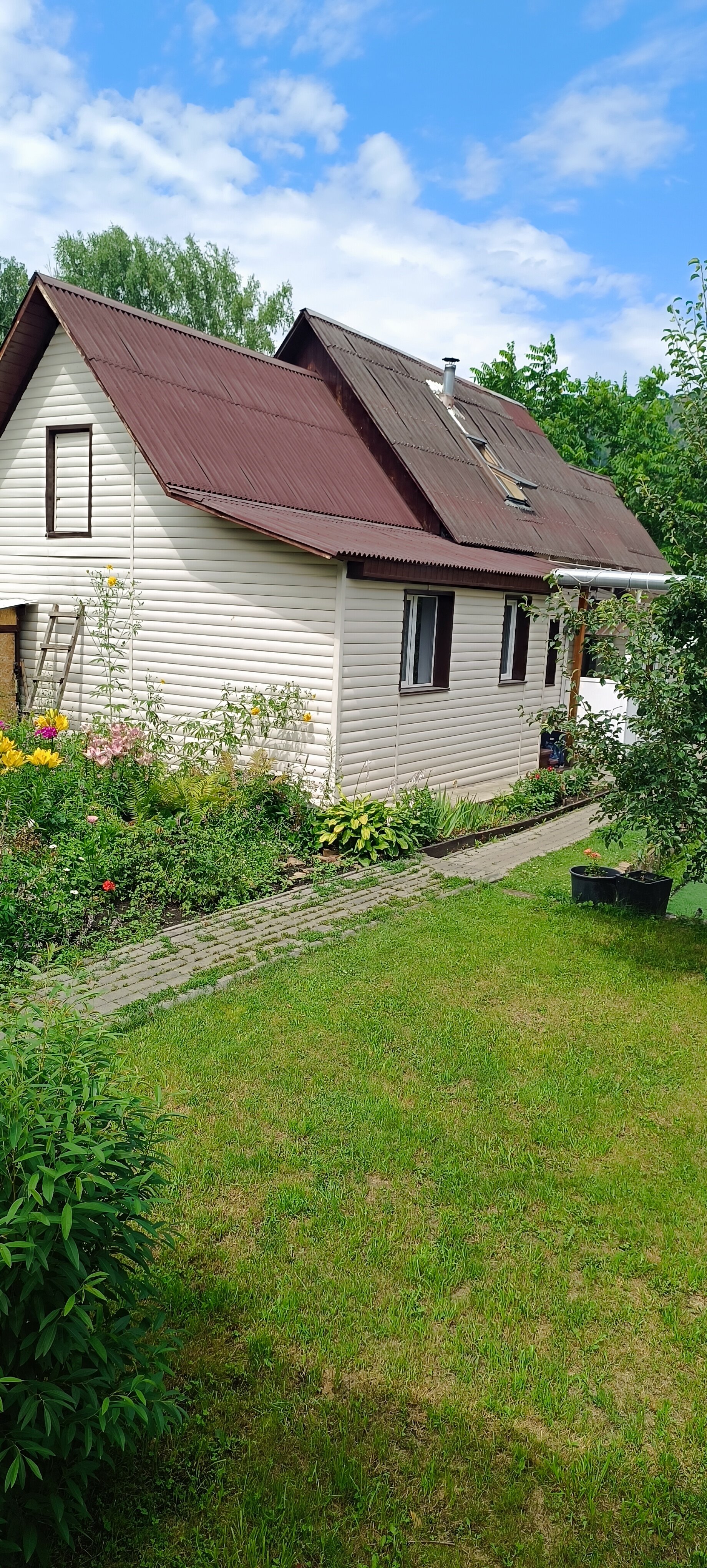 Фото Тёщина роща