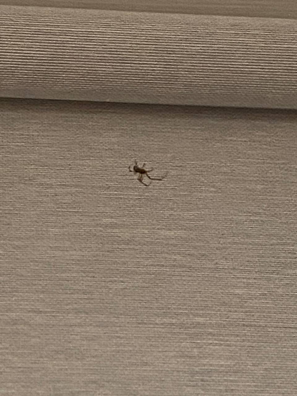 Фото Найман