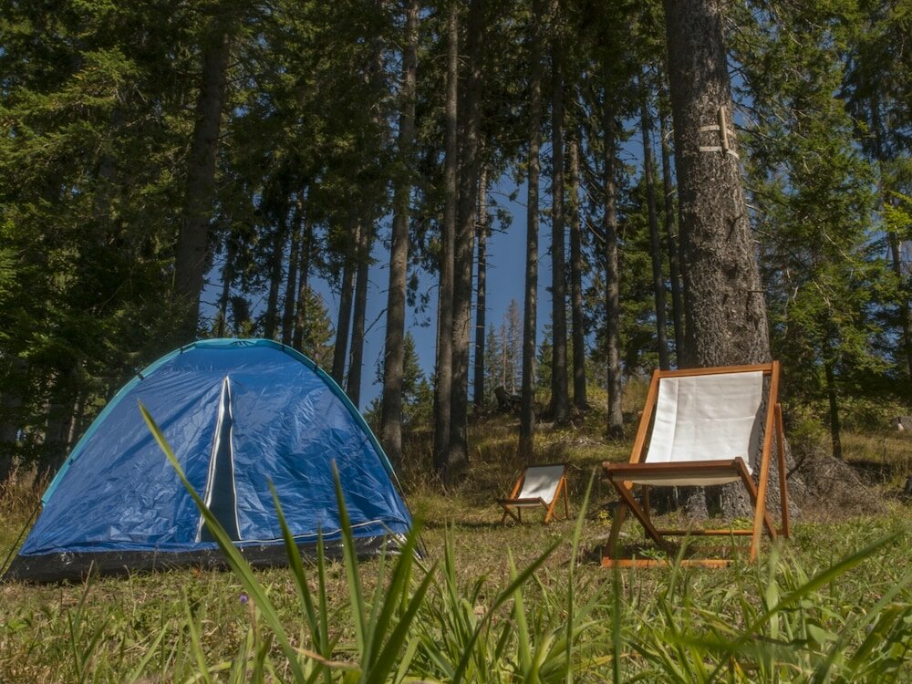 Фото Green Life Pamporovo