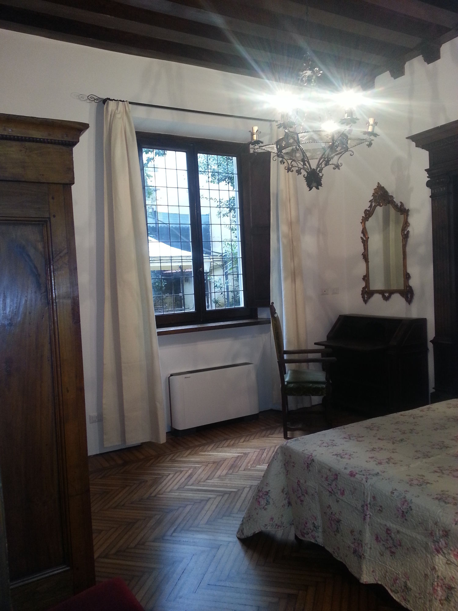 Фото Little Garden Donatello