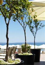 Фото Margarita Sea Side Hotel