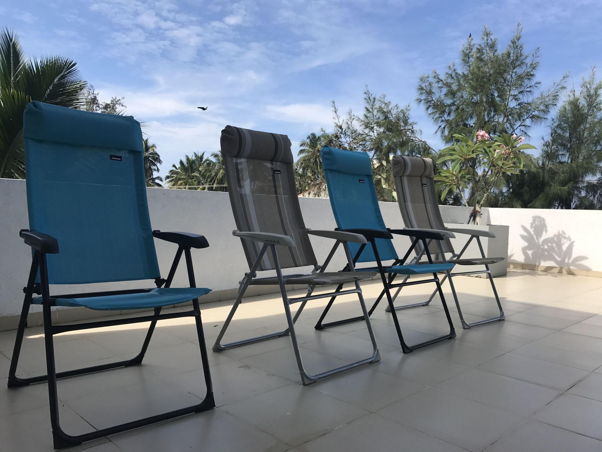 Фото Bliss Luxury Apartment