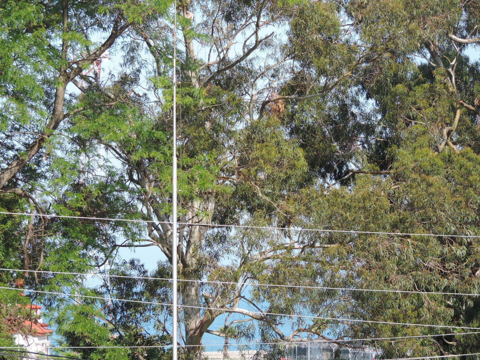 Фото Villa Del Mar