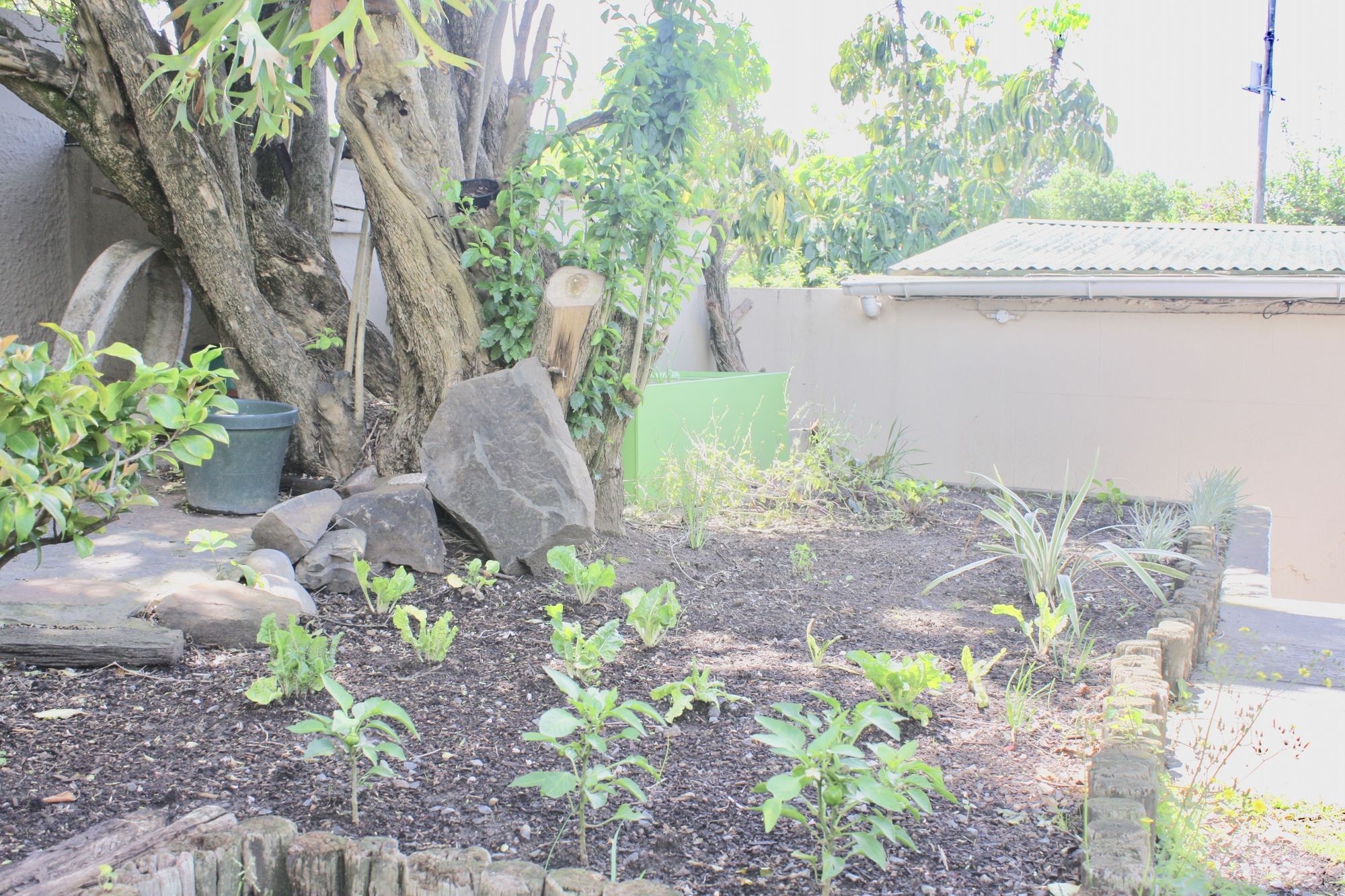 Фото Selborne Bed and Breakfast