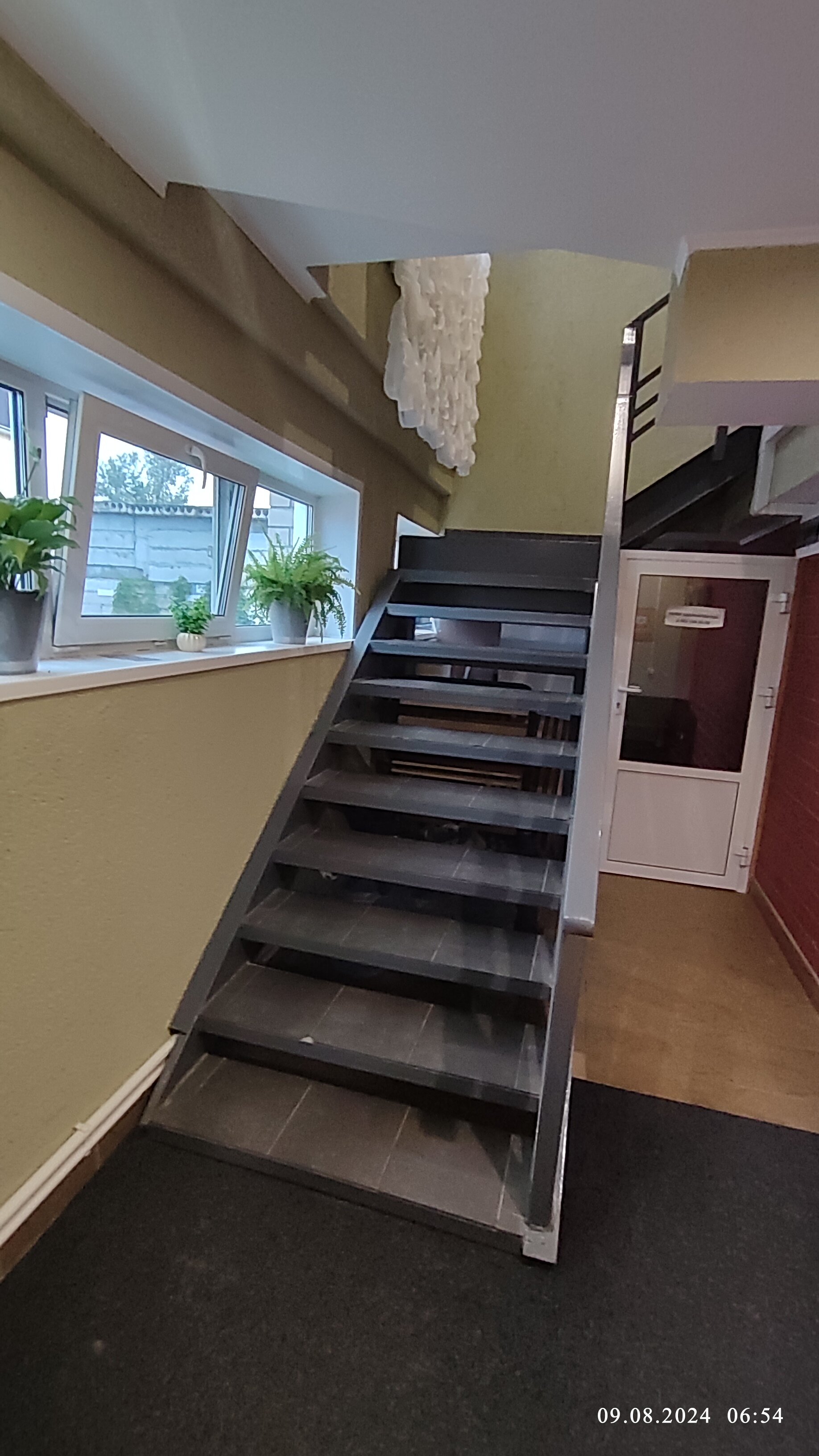 Фото Демидов