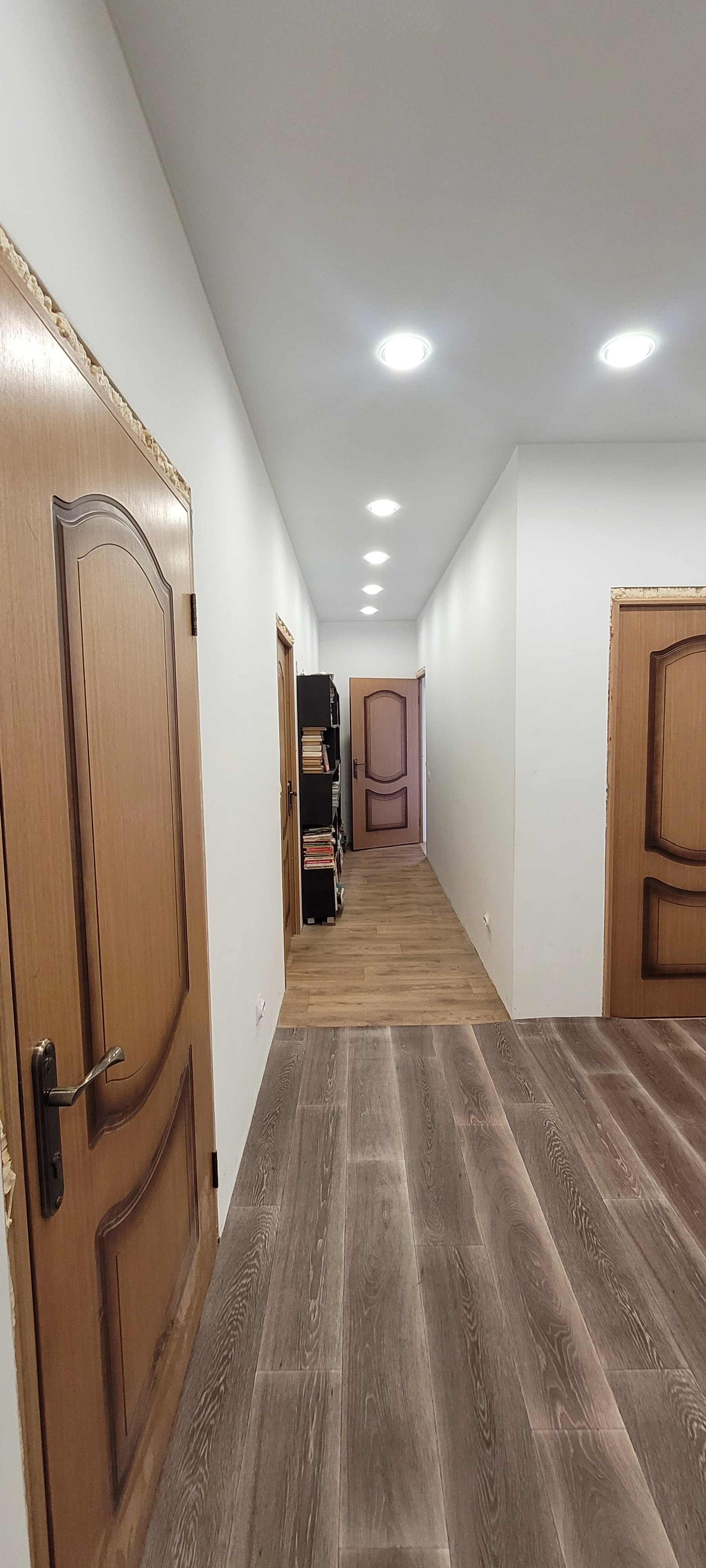 Фото Горный кедр