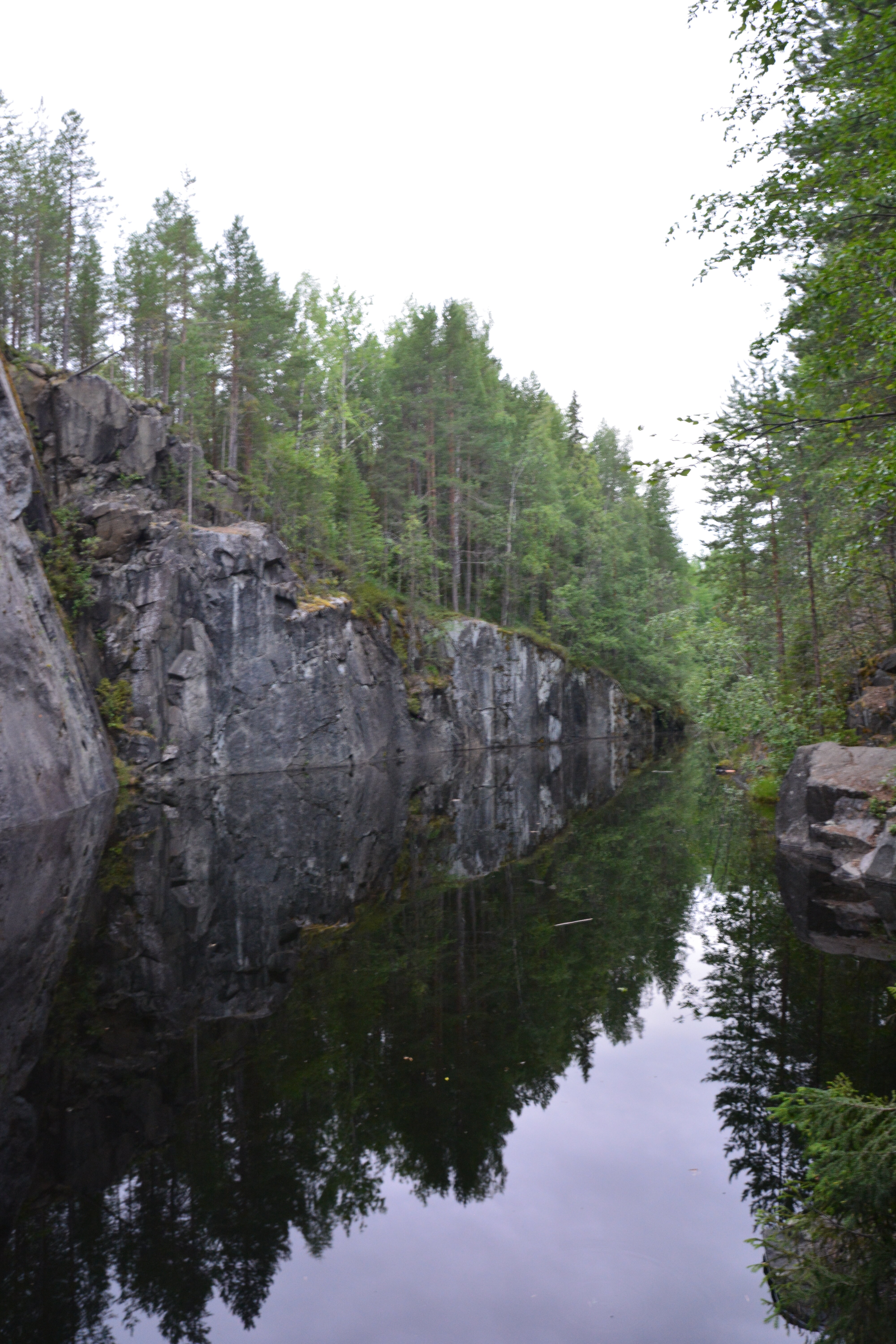 Фото Нереис