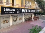 Altinok Veteriner Klinigi (Antalya, Alanya, Konaklı Mah., Gemicioälu Sok., 8), veterinary clinic