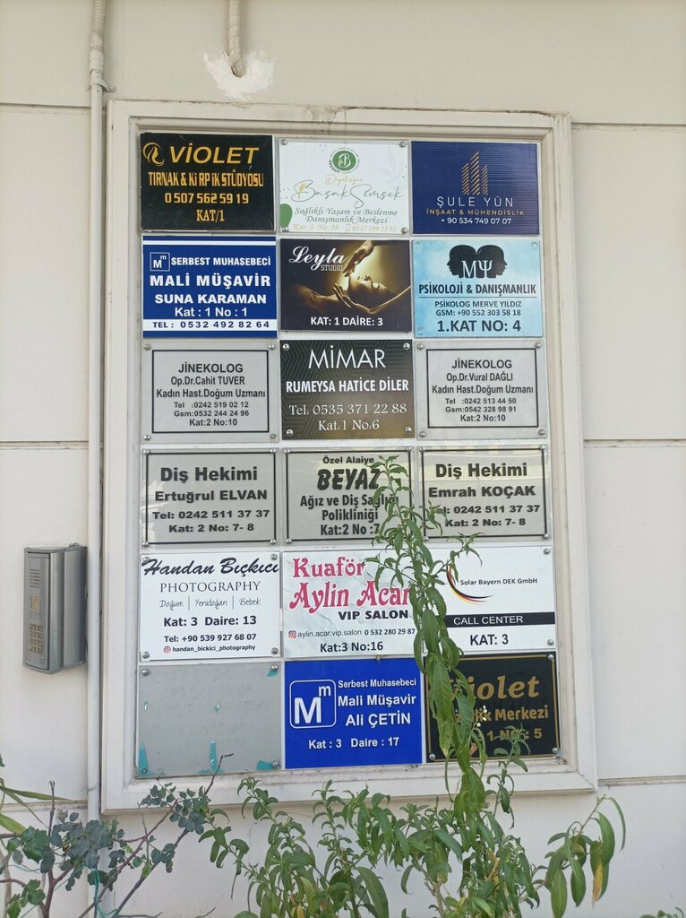 Business center Netfit Bazaar Dietitian Damla Ozkurt, Alanya, photo