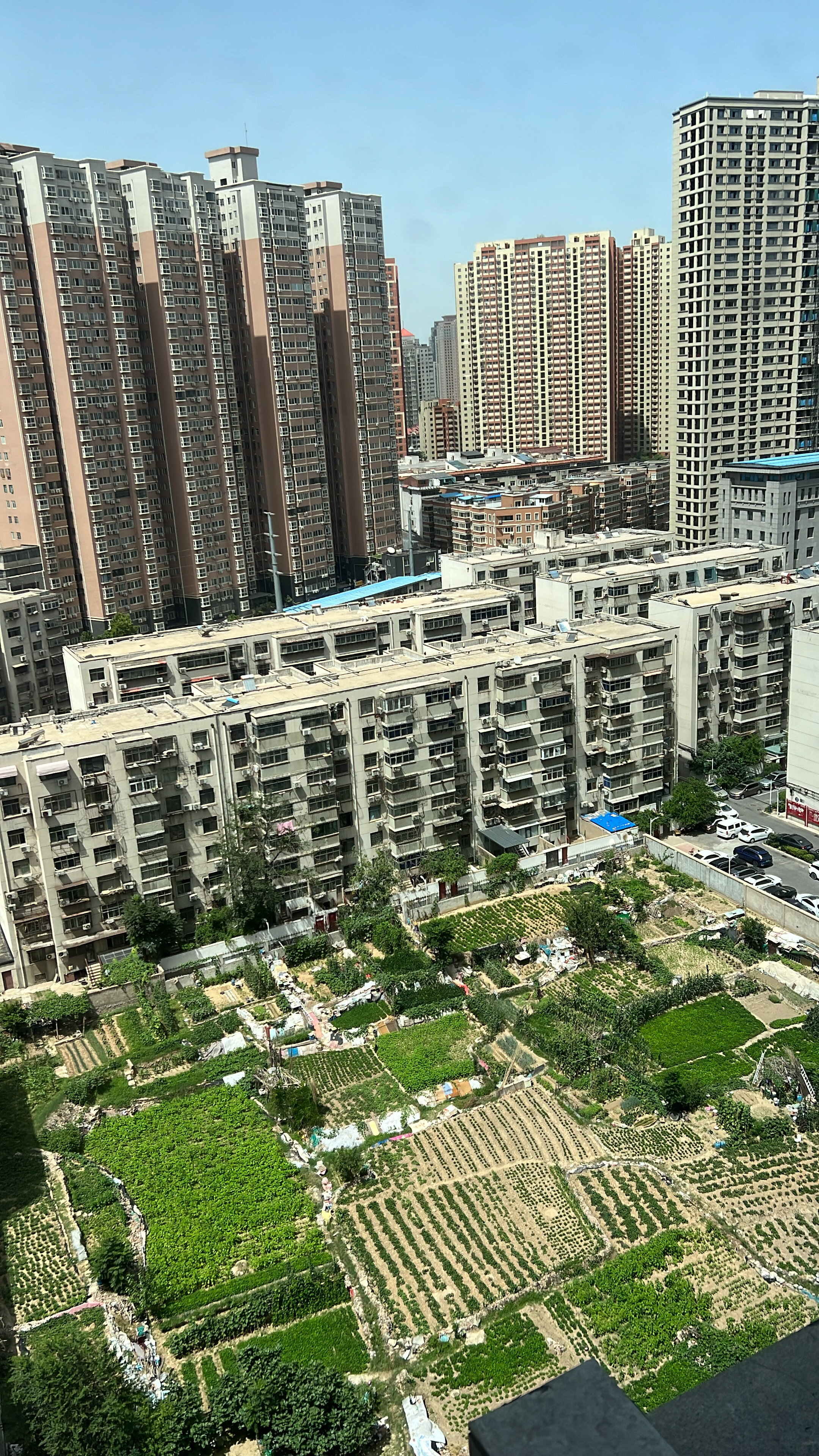 Фото Hilton Zhengzhou