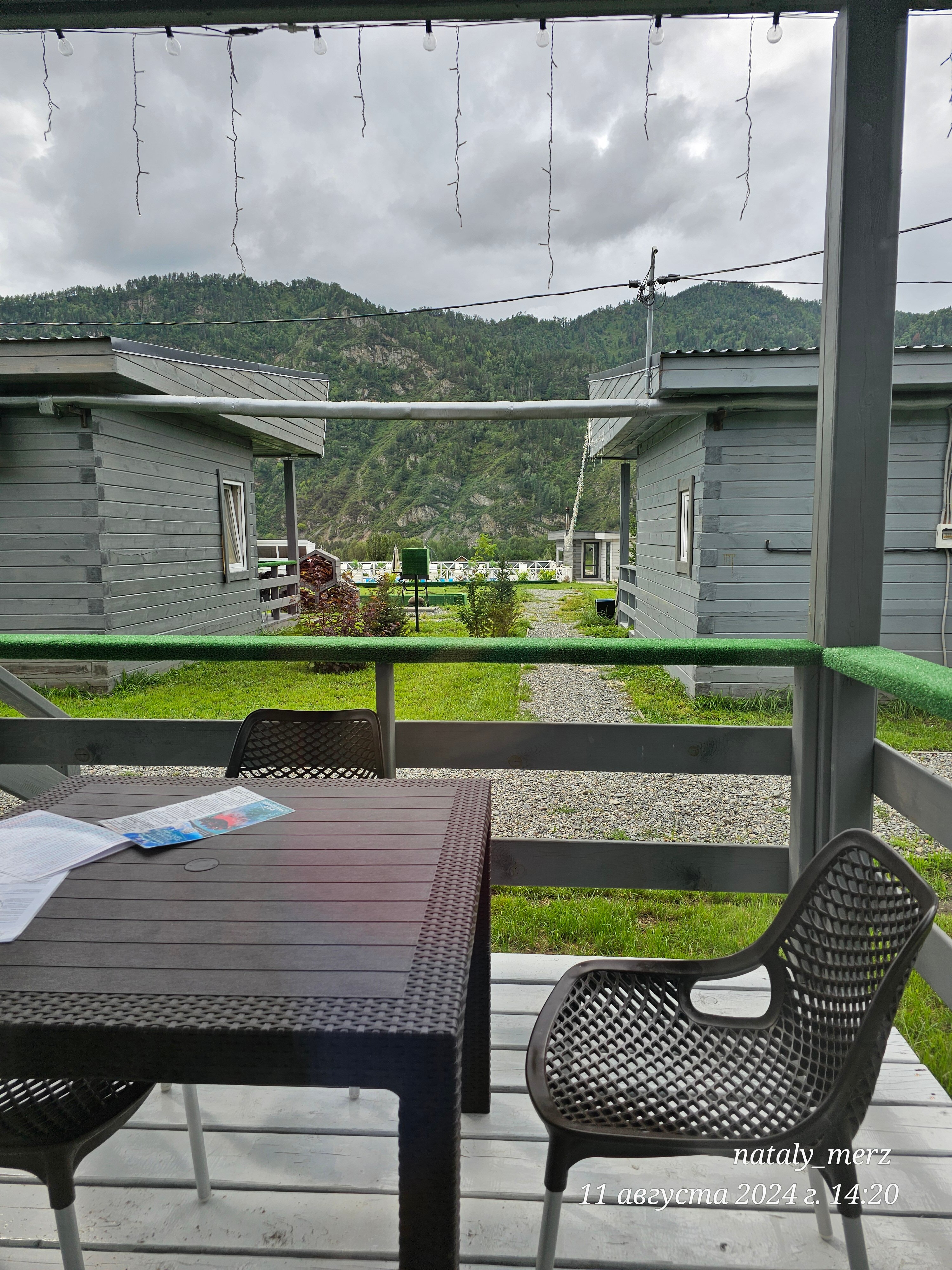 Фото Алтай Лотос