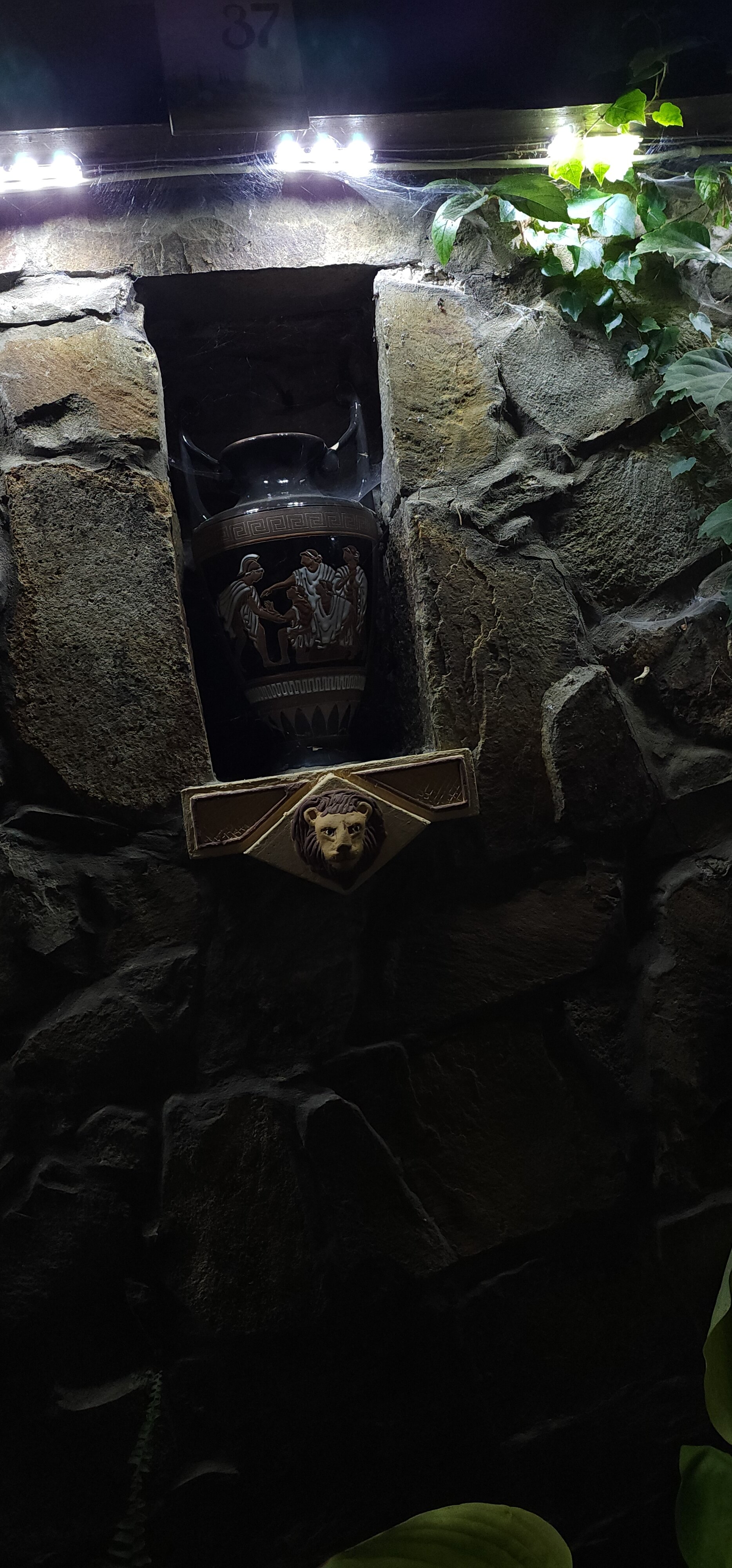 Фото Водолей