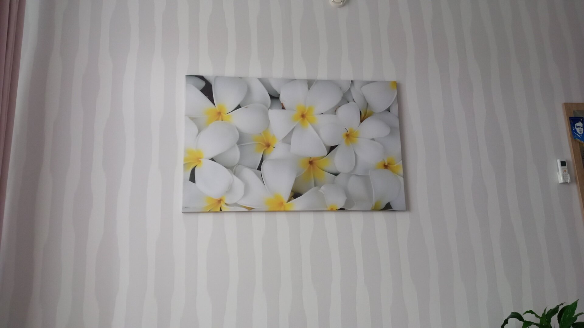 Фото Отель на Ваге