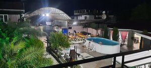 Розовый Фламинго