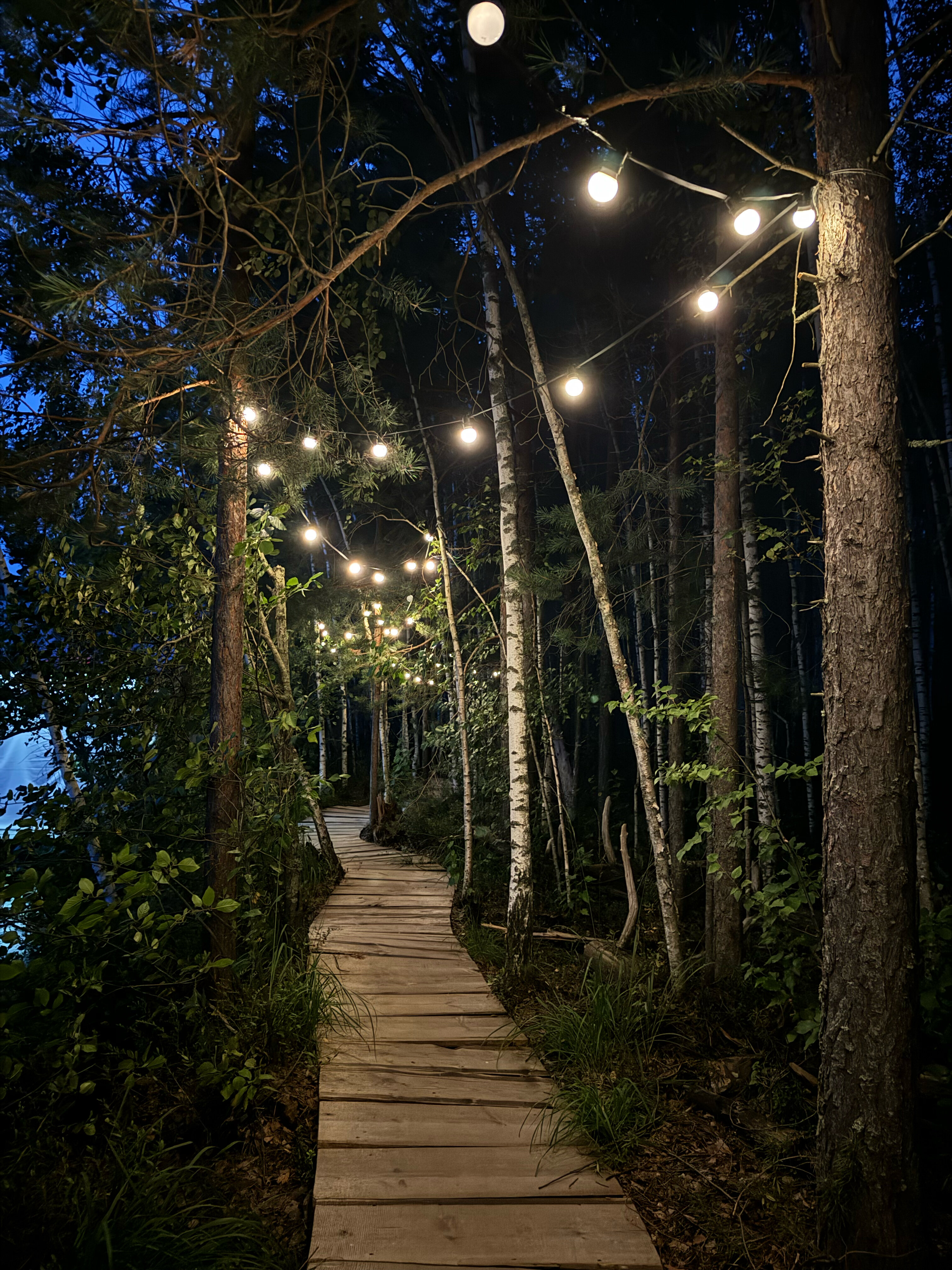 Фото Отель «Оланга»