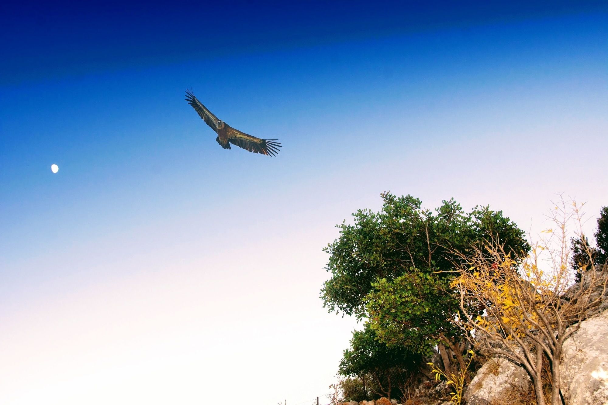 Фото Ippoliti Village