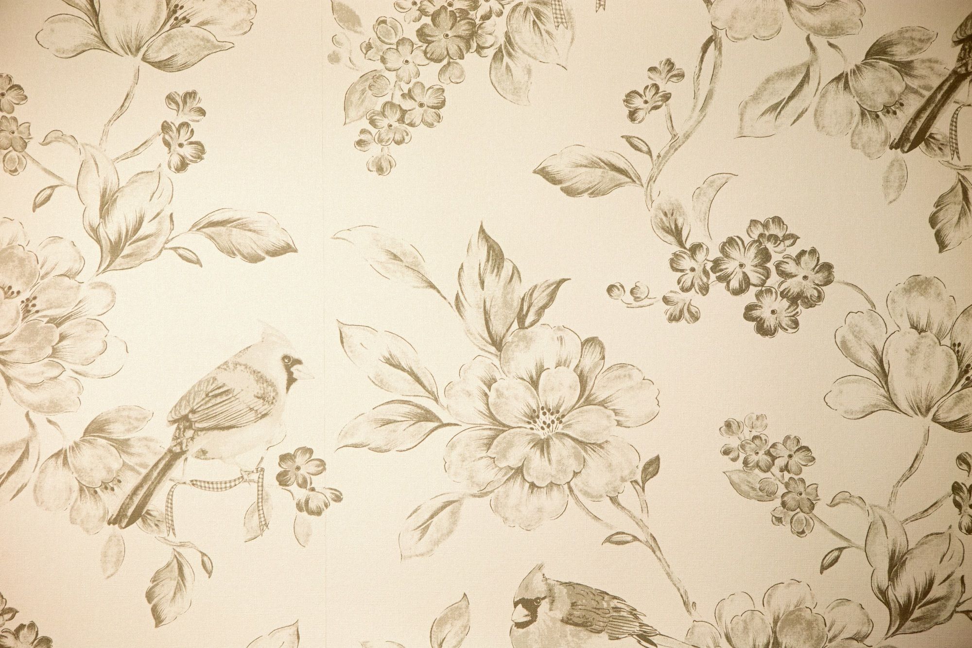 Фото Kimpton Cardinal Hotel, an IHG Hotel