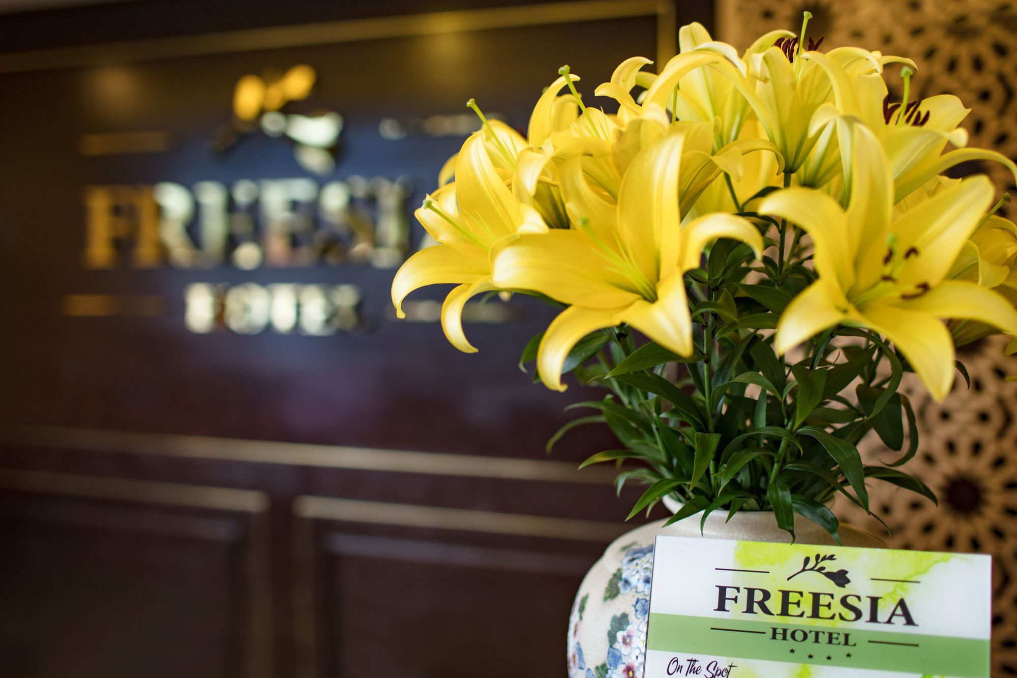 Фото Freesia Hotel