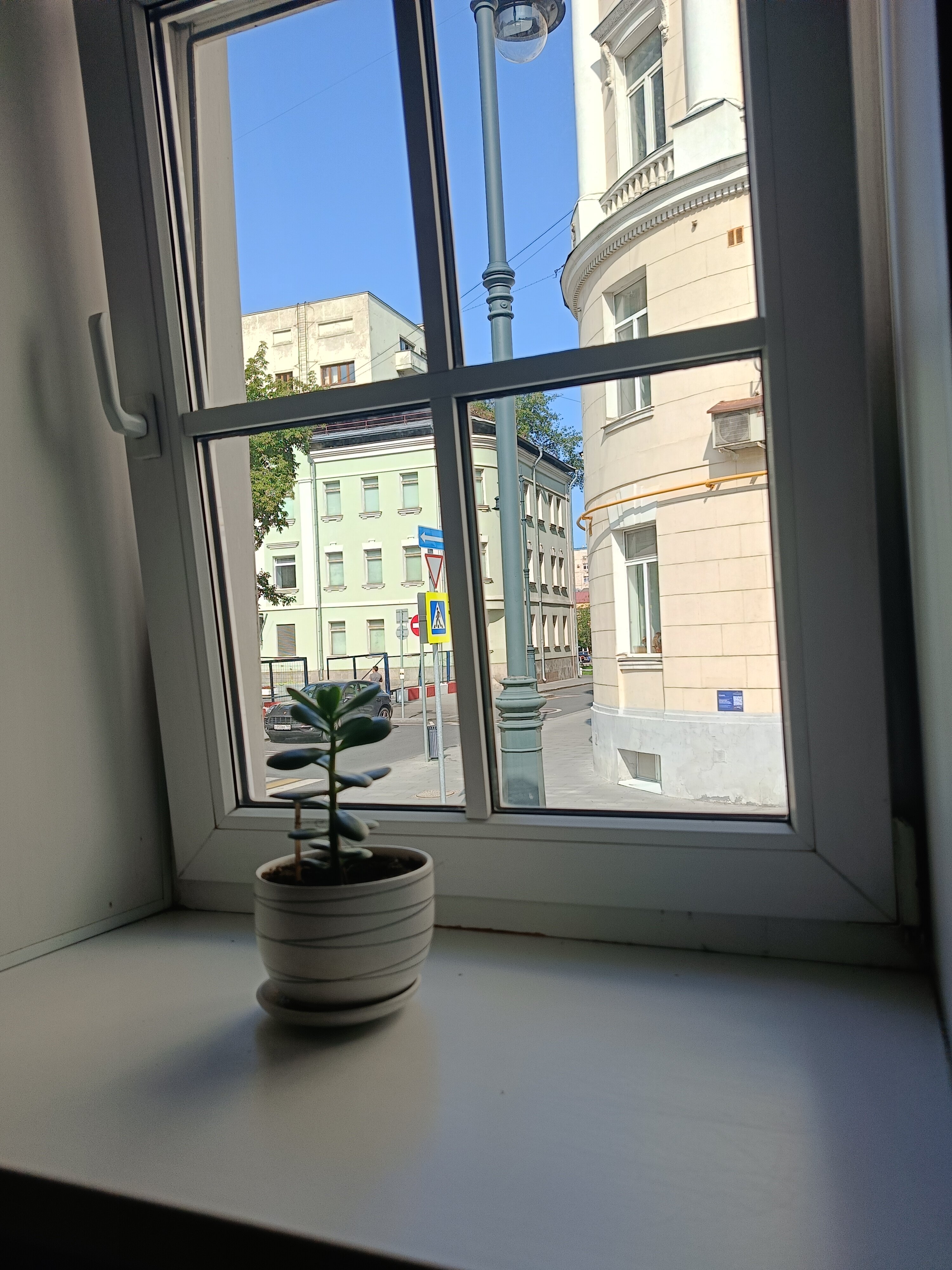 Фото Веллион Смоленский