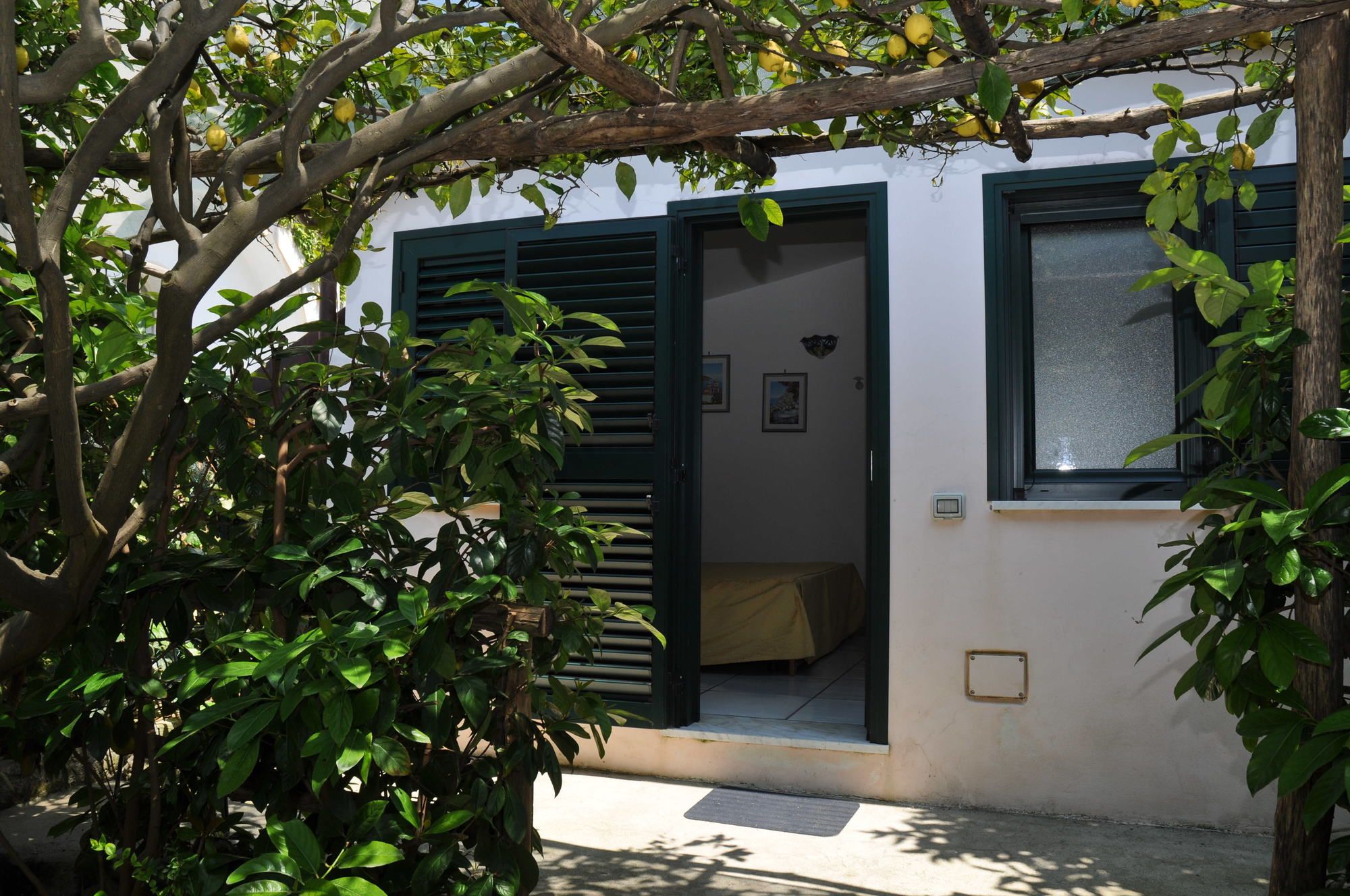 Фото Il Roseto B&b