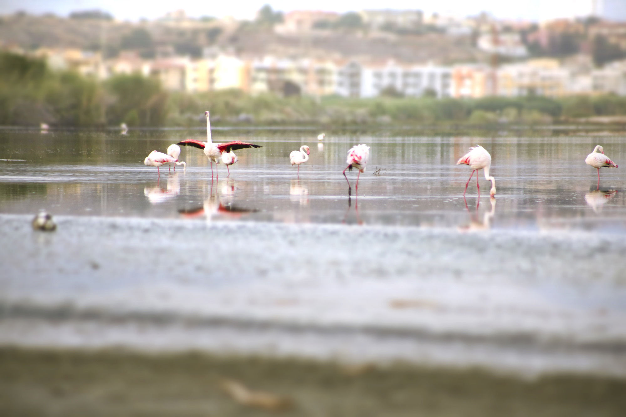 Фото Hotel Villa Fanny