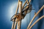 Enis Optics (Bilecik, Bozuyuk, Kasımpaşa Mah., Keşşaf Sok., 18), opticial store