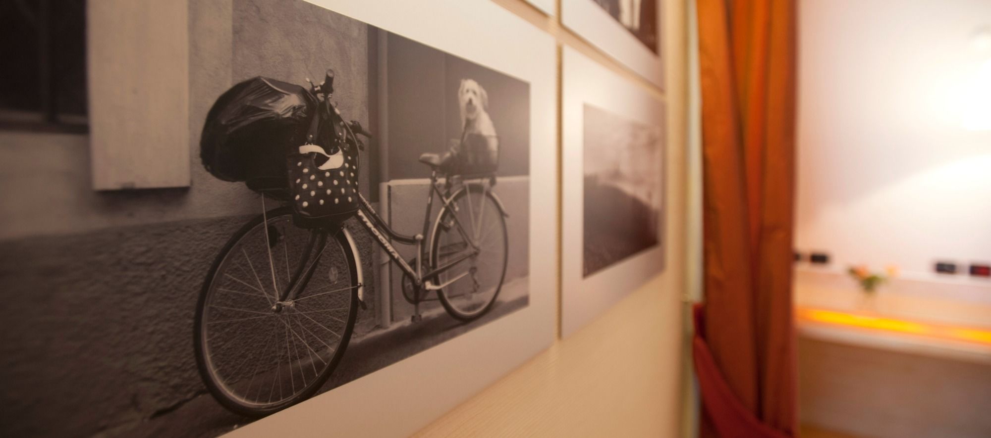 Фото Alba Residence