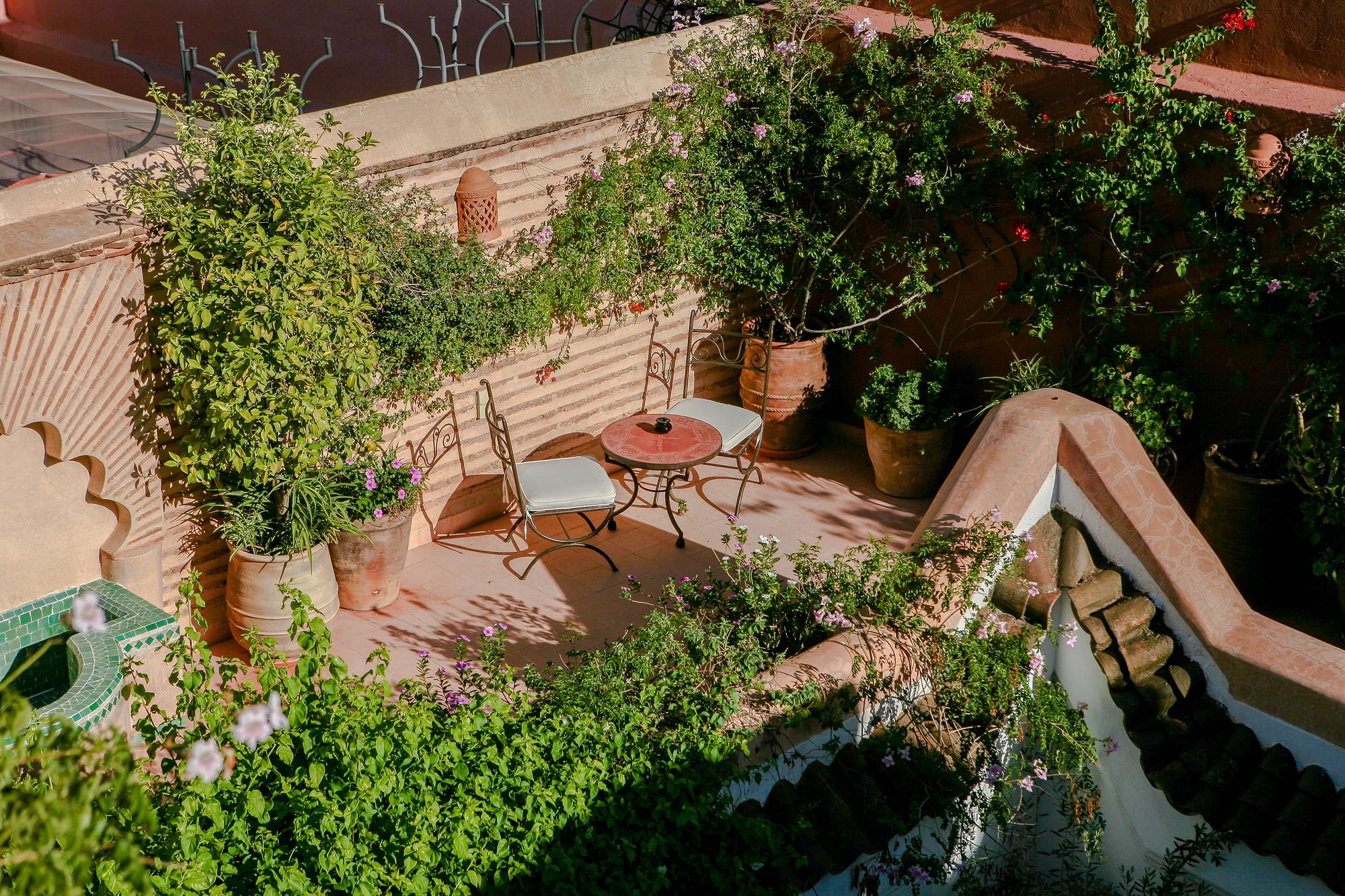 Фото Dar Warda Guest House