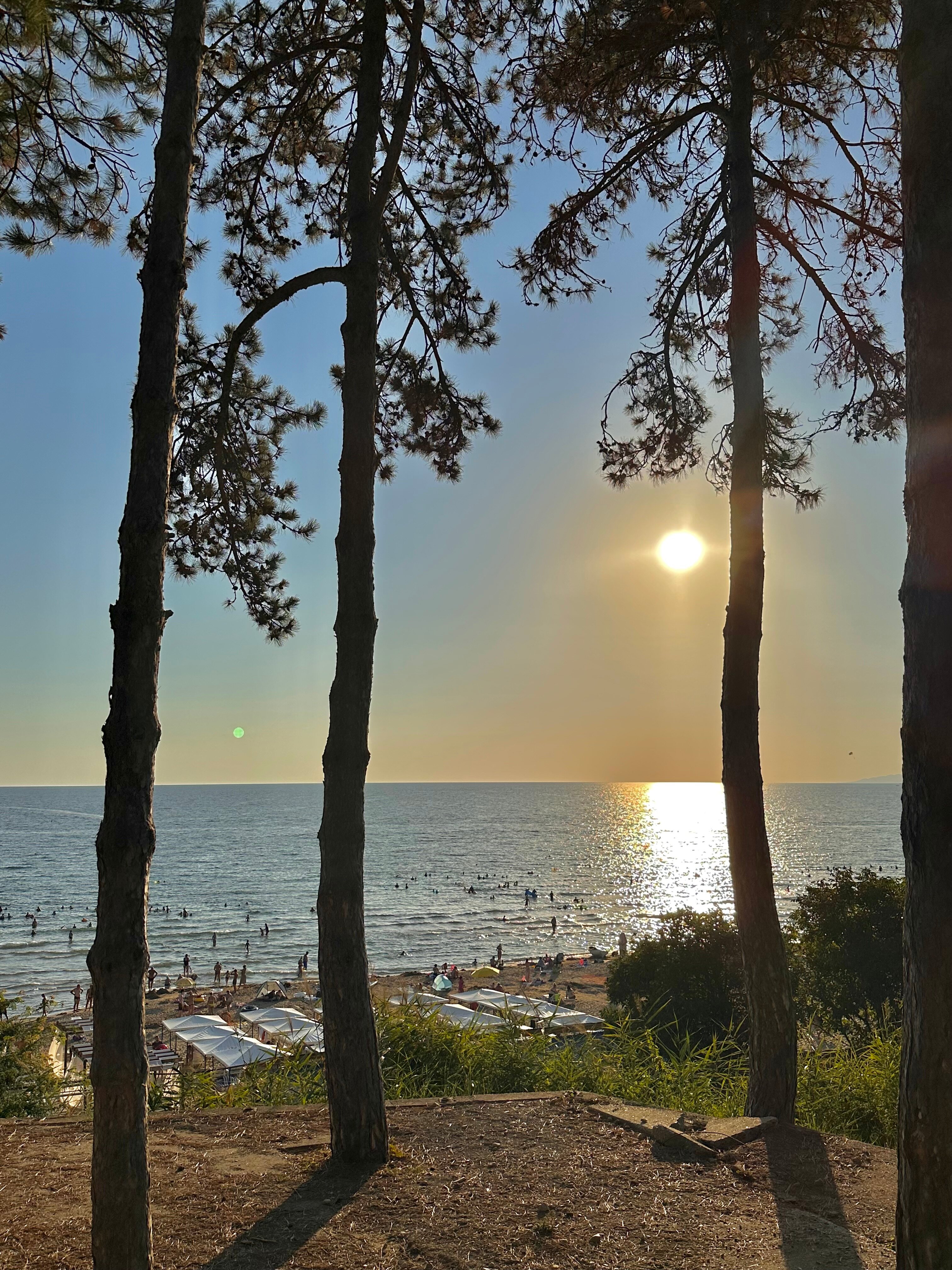 Фото Папа и море