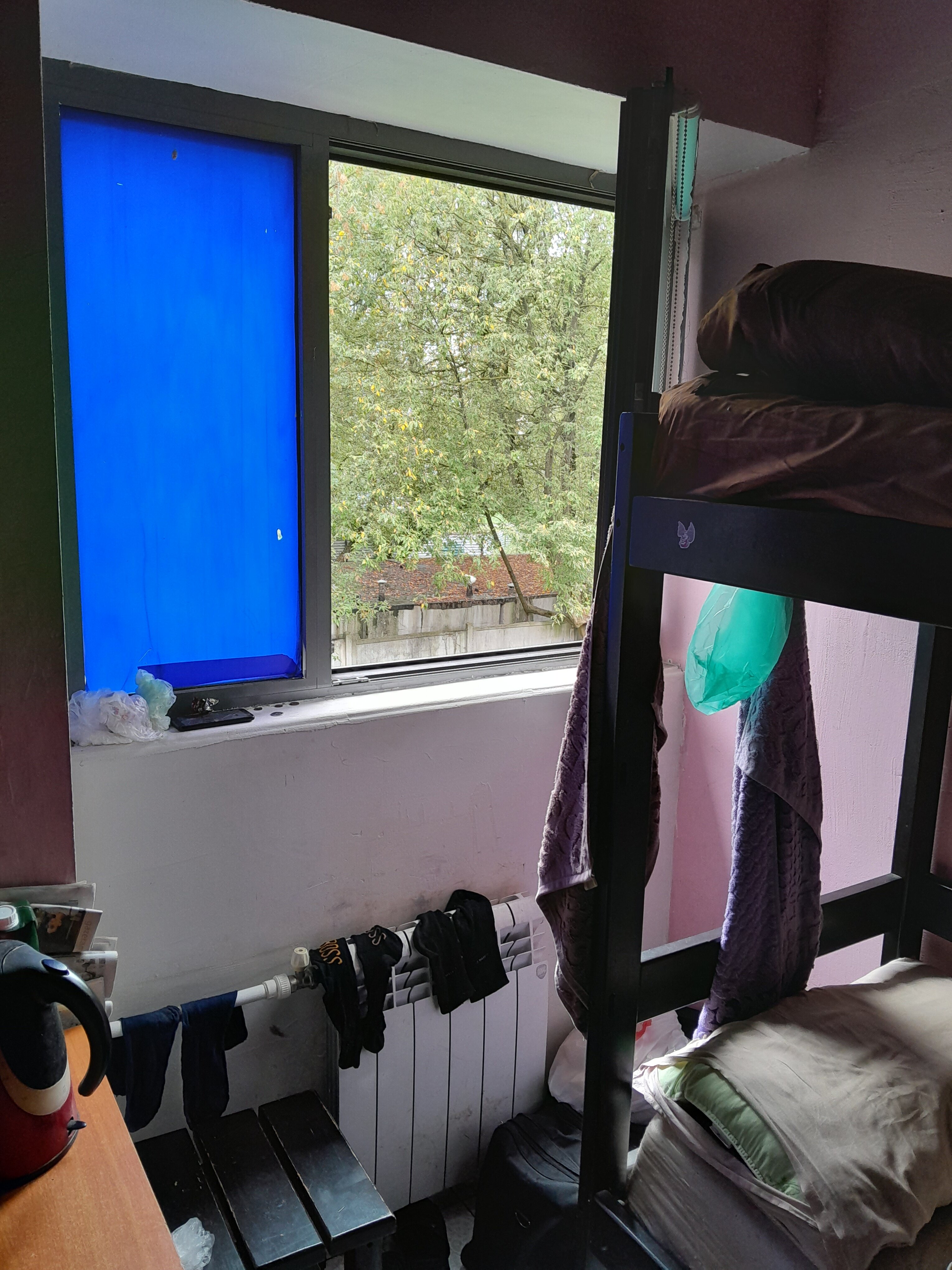 Фото Вежливый Лось на Ботаническом саду