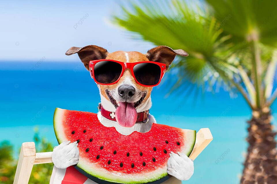 Фото Римини