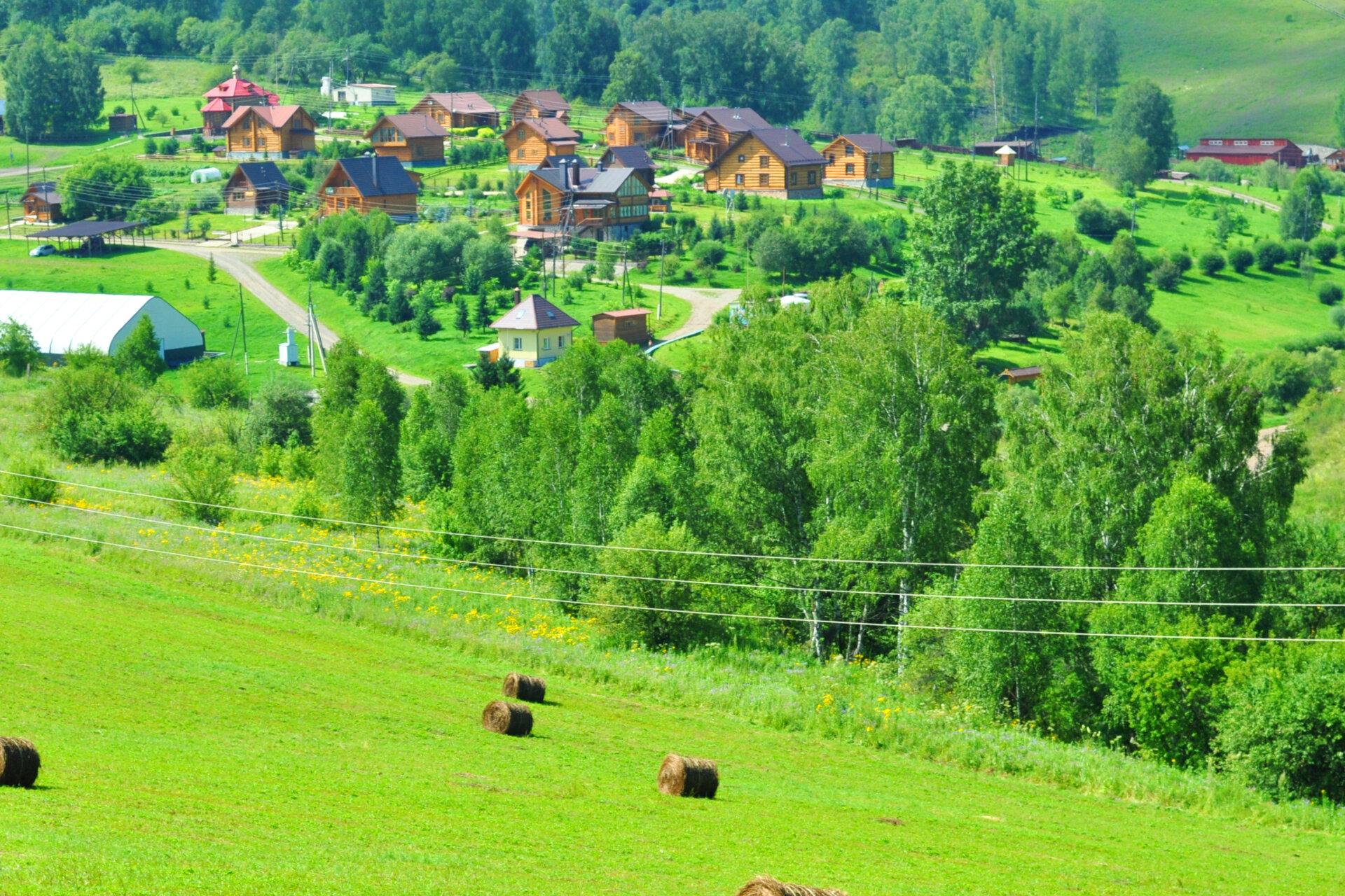 Фото База отдыха Басаргино