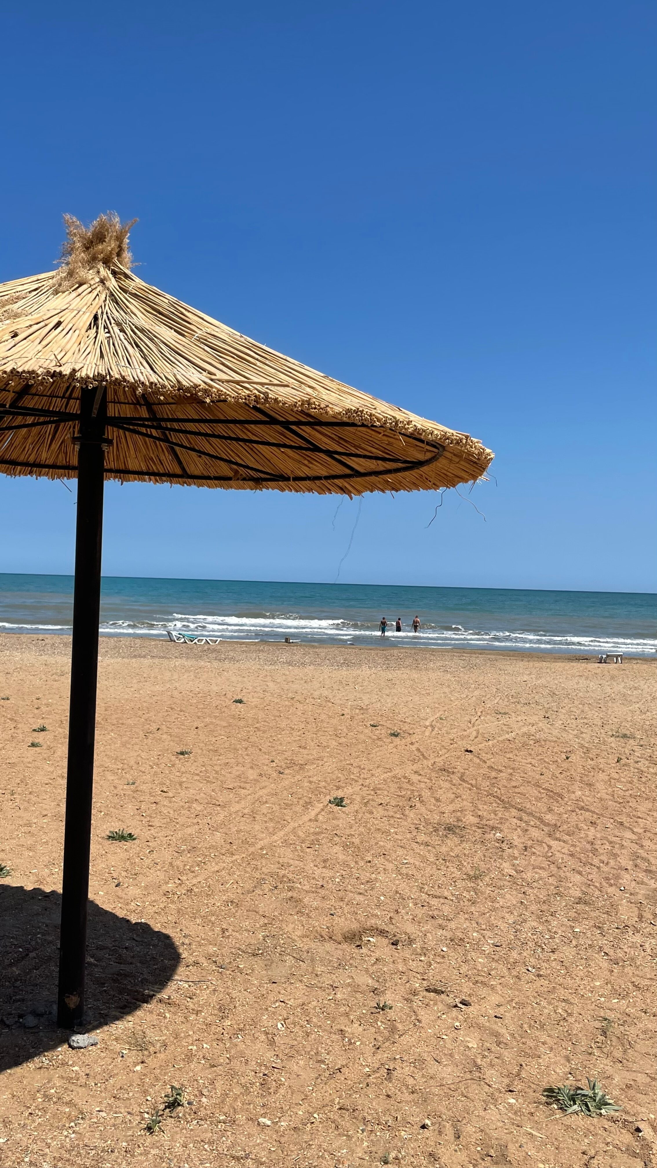 Фото Виктория