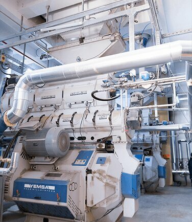 Production of pet food Balcilar Feed Industry, Kayseri, photo