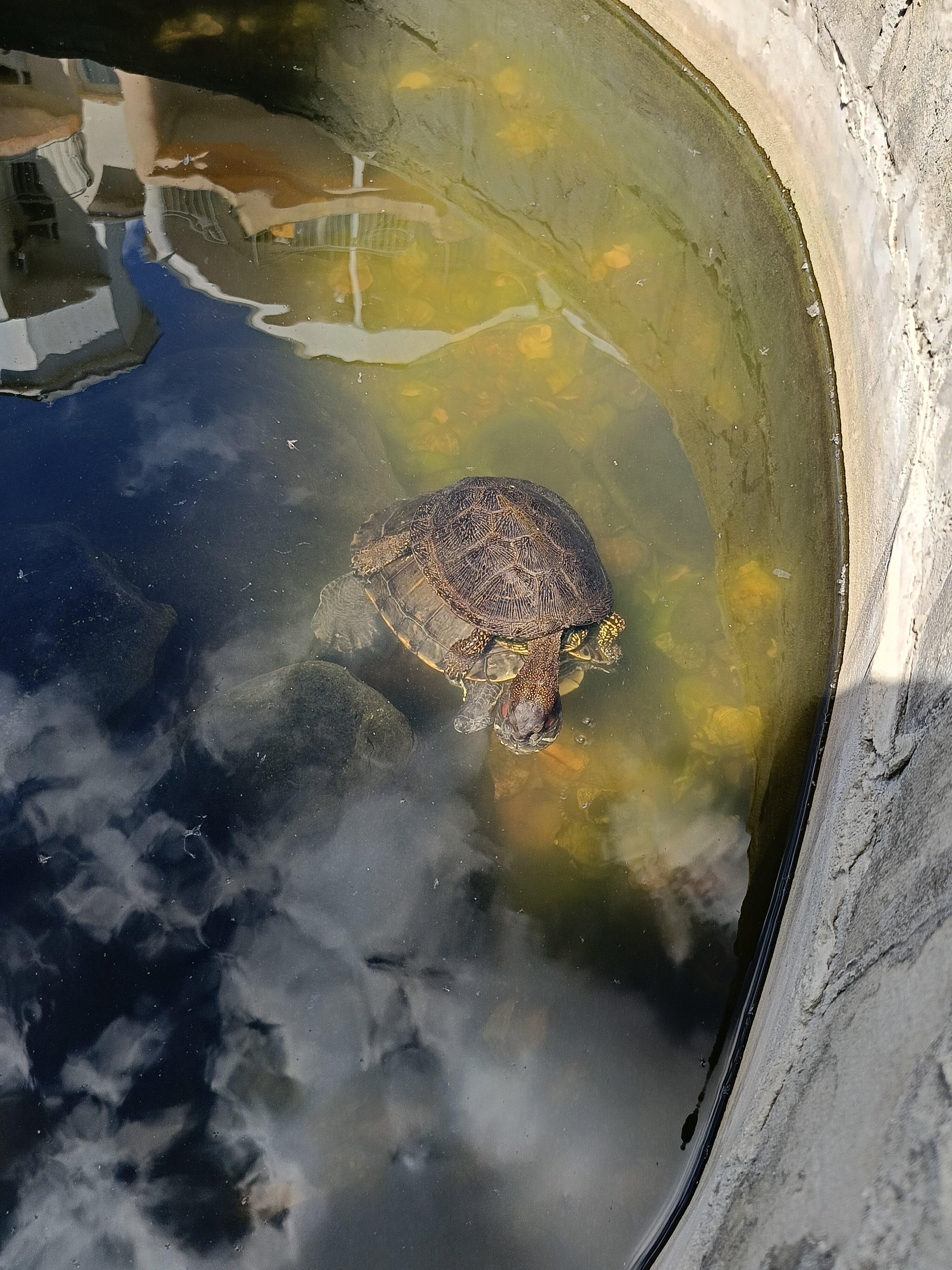 Фото Аква-Солярис