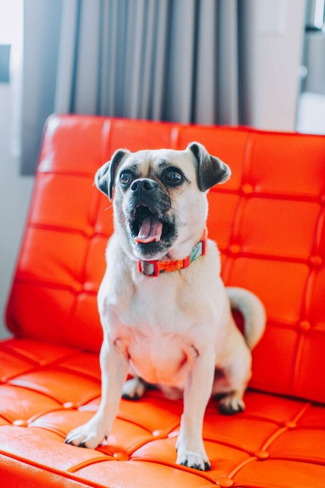 Фото Centennial Hotel Spokane