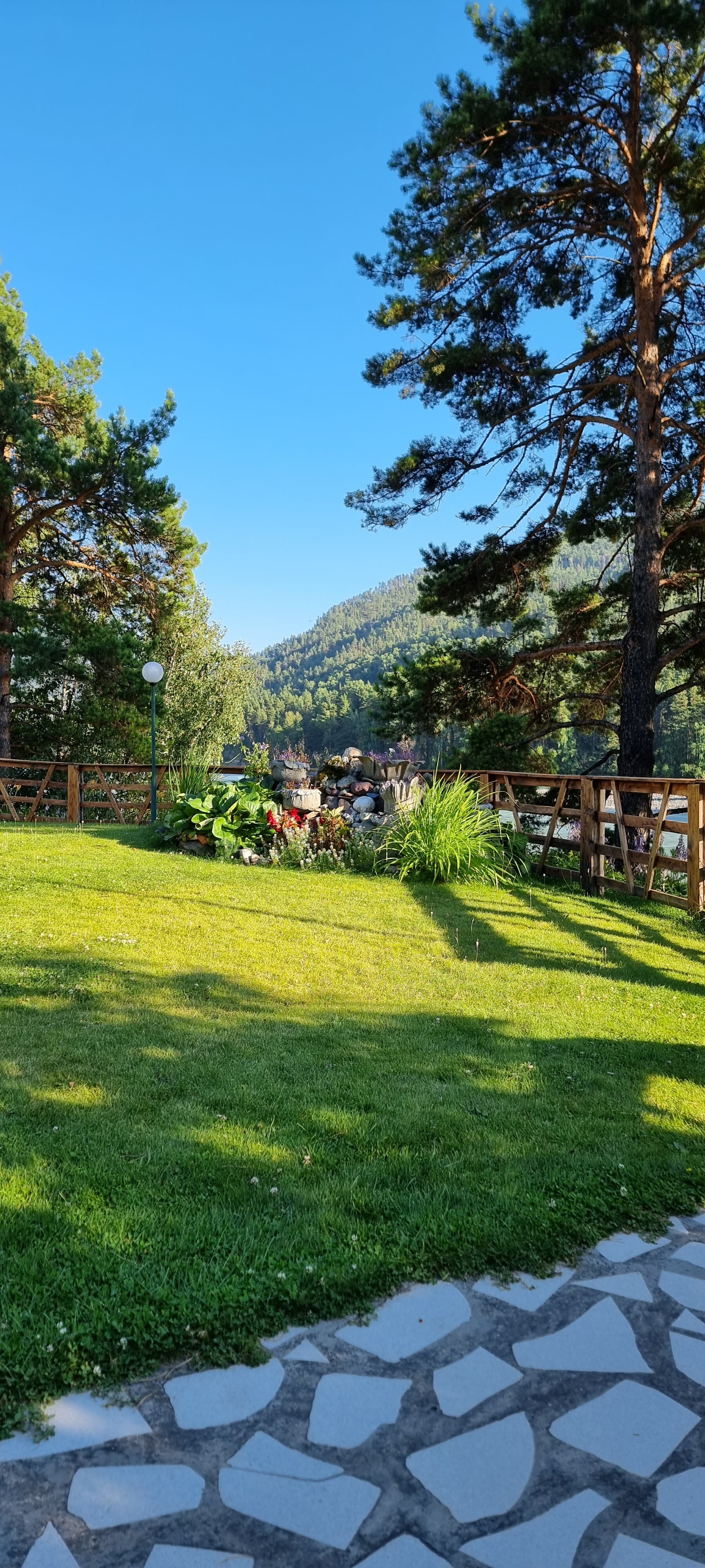 Фото Альбатрос