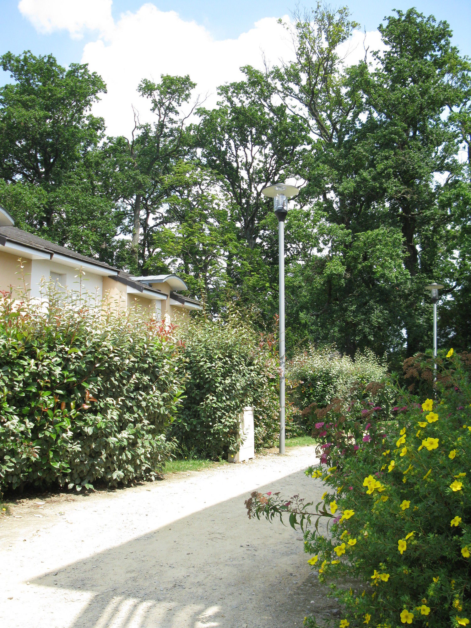 Фото 11112265610