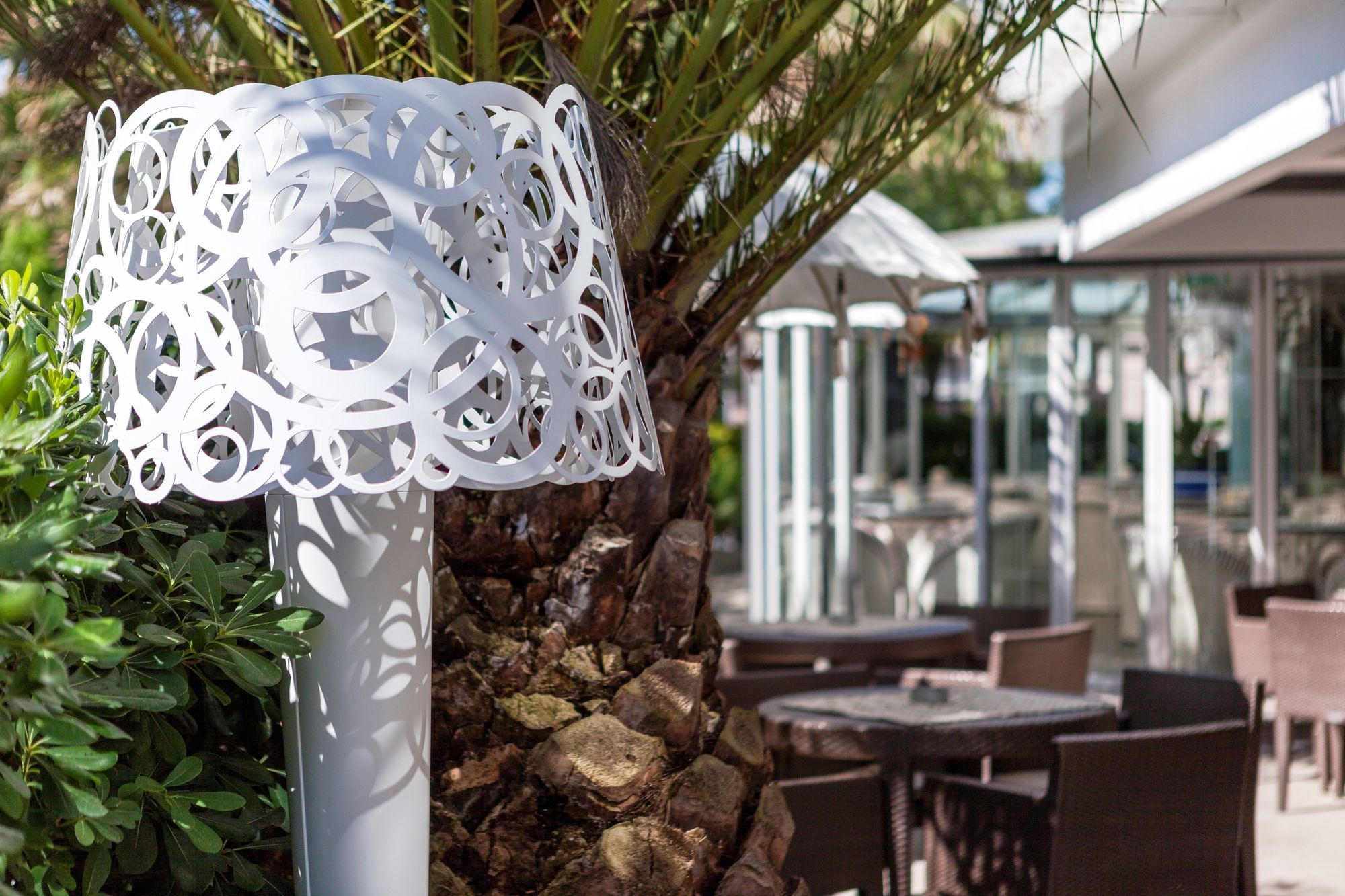 Фото Hotel Feldberg