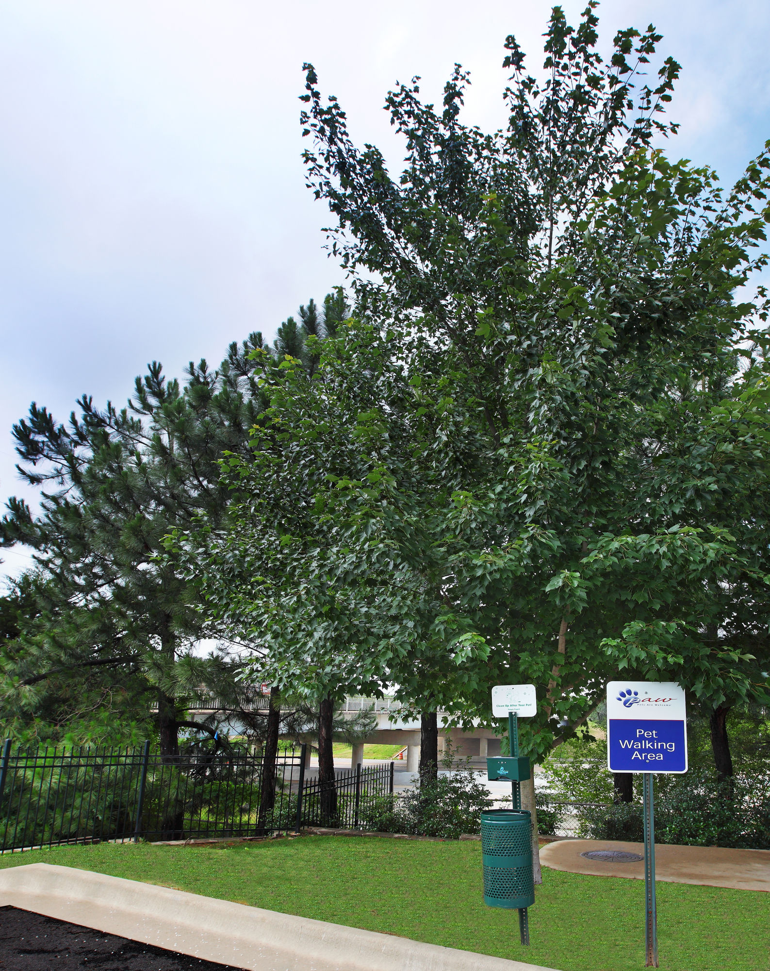 Фото Candlewood Suites West Little Rock, an Ihg Hotel