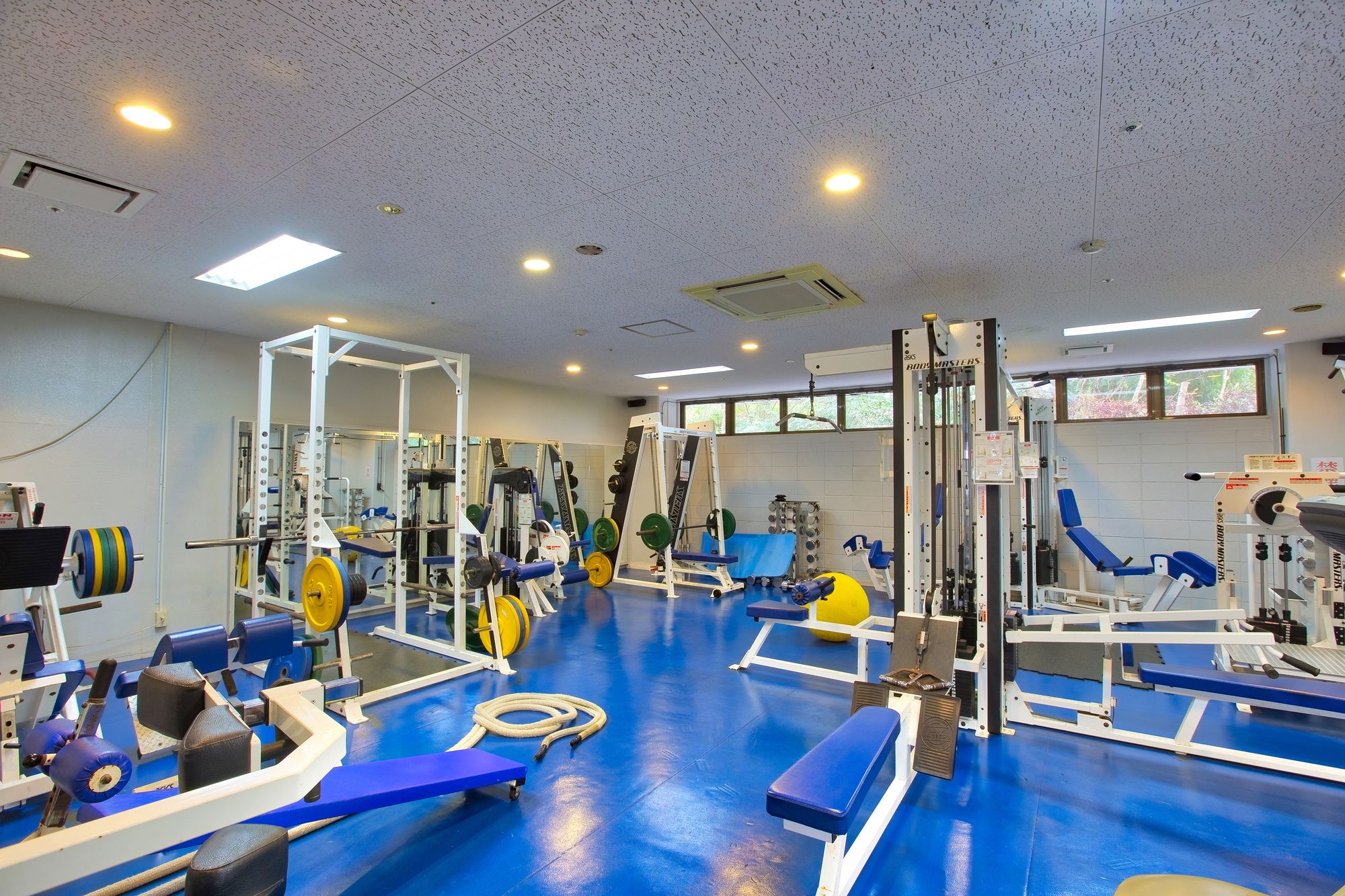 Фото Palace in Moon Beach