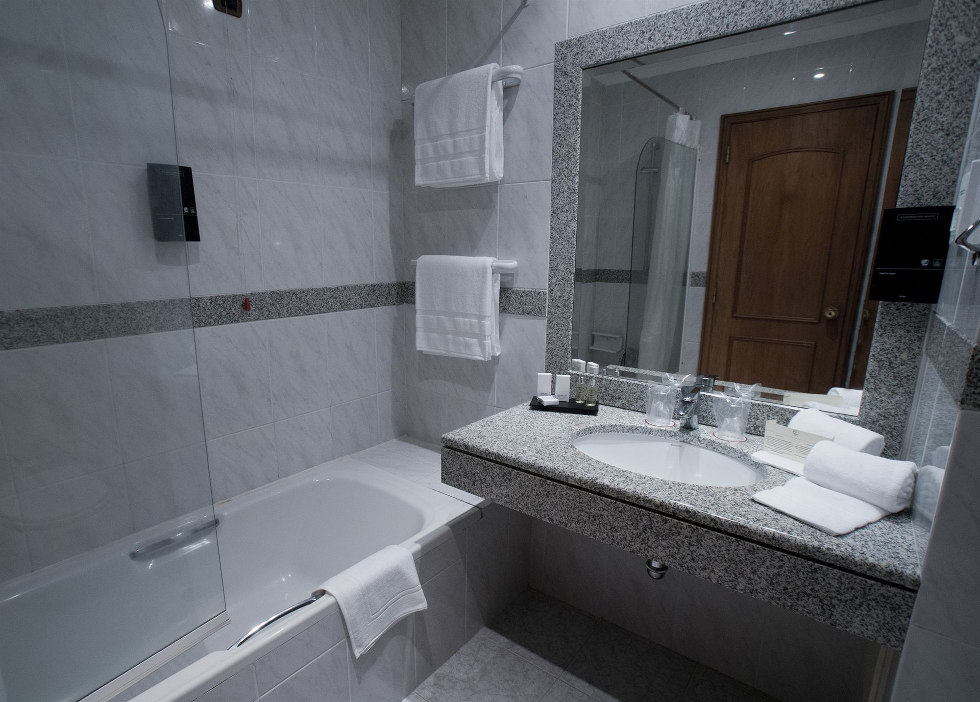 Фото Hotel Horta