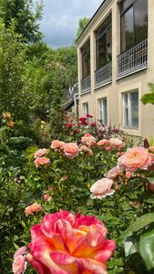 Zara Dacha (Lori Region, Shahumyan village), hotel