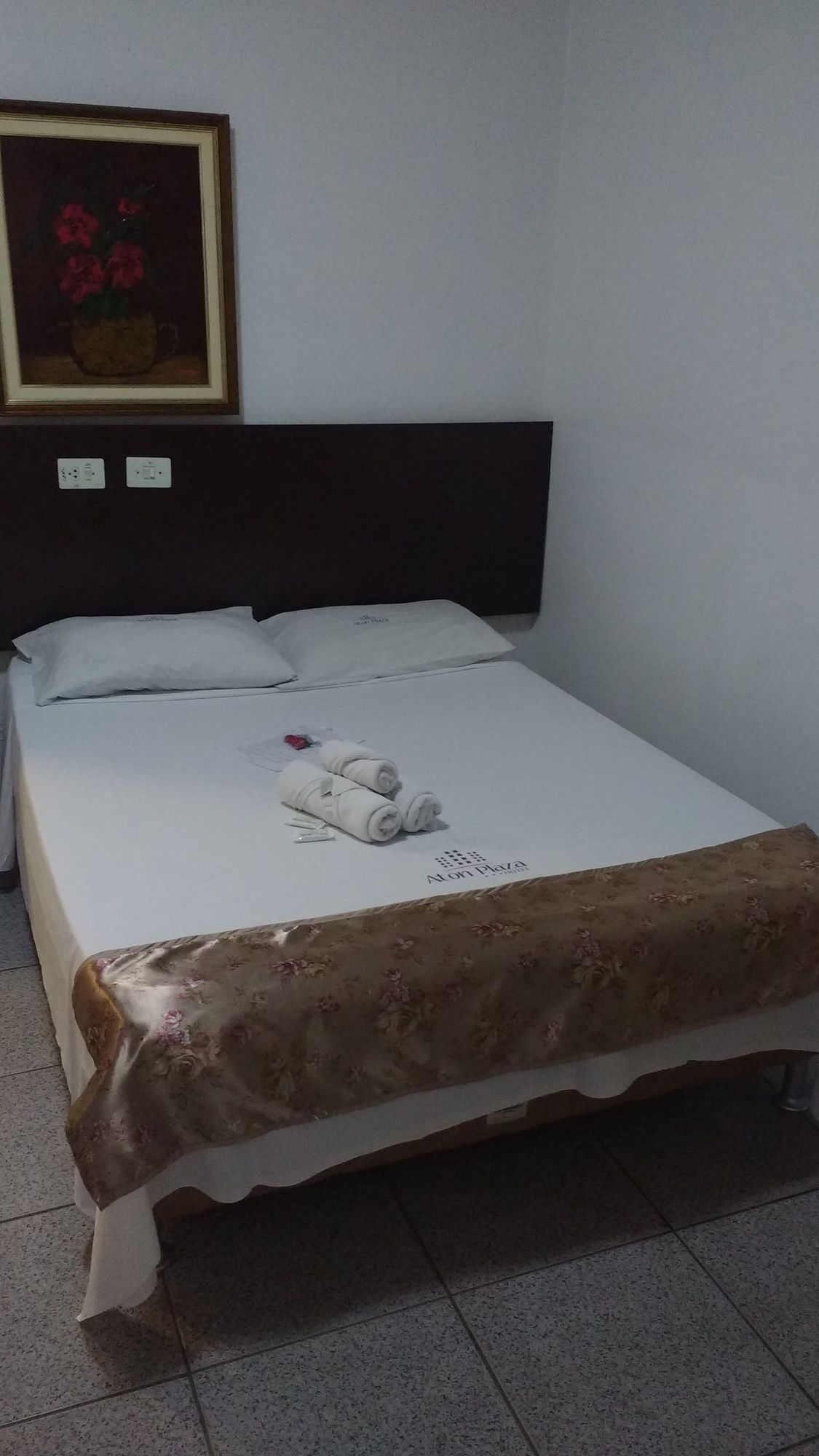 Фото Aton Plaza Hotel