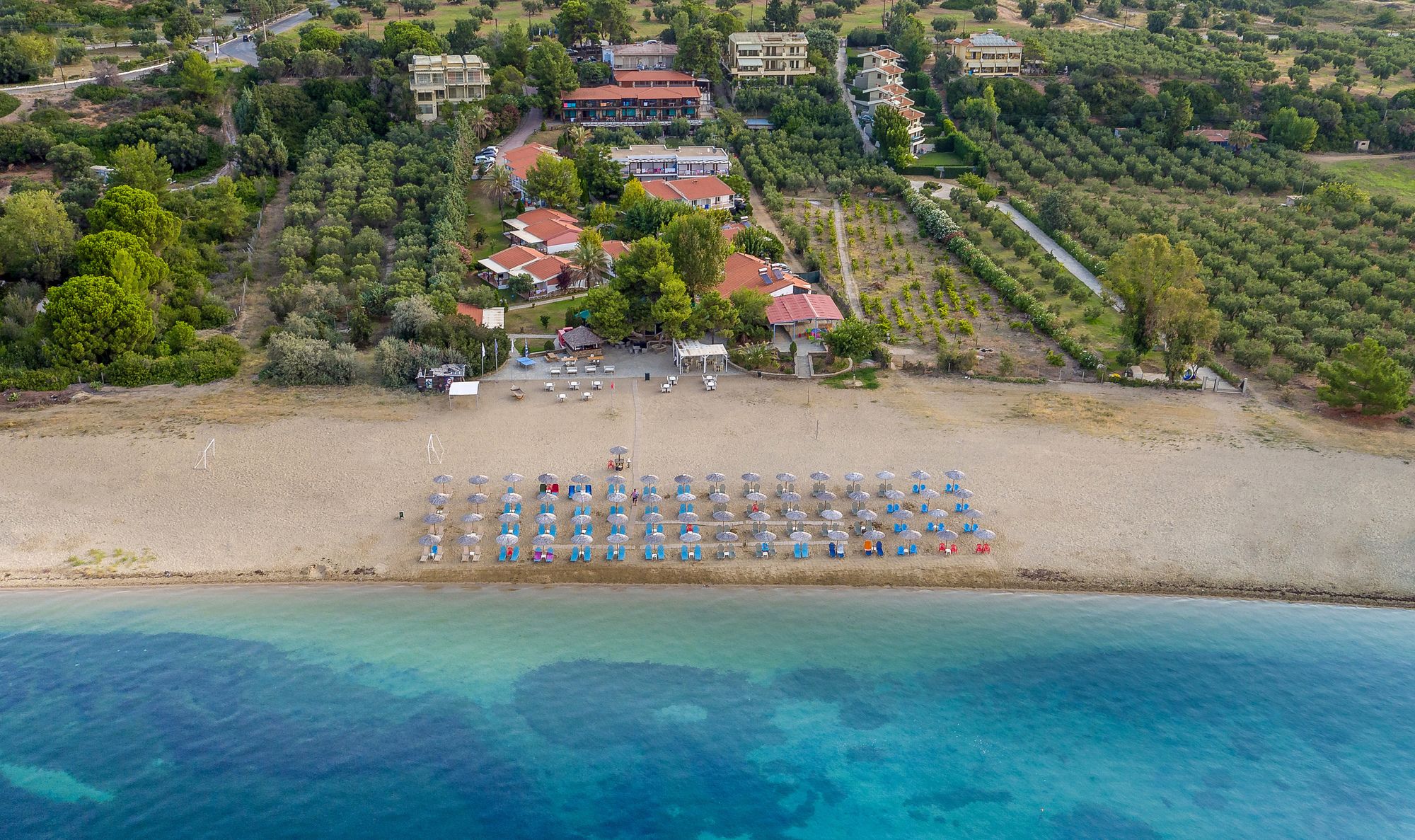 Фото Coral Blue Beach Hotel