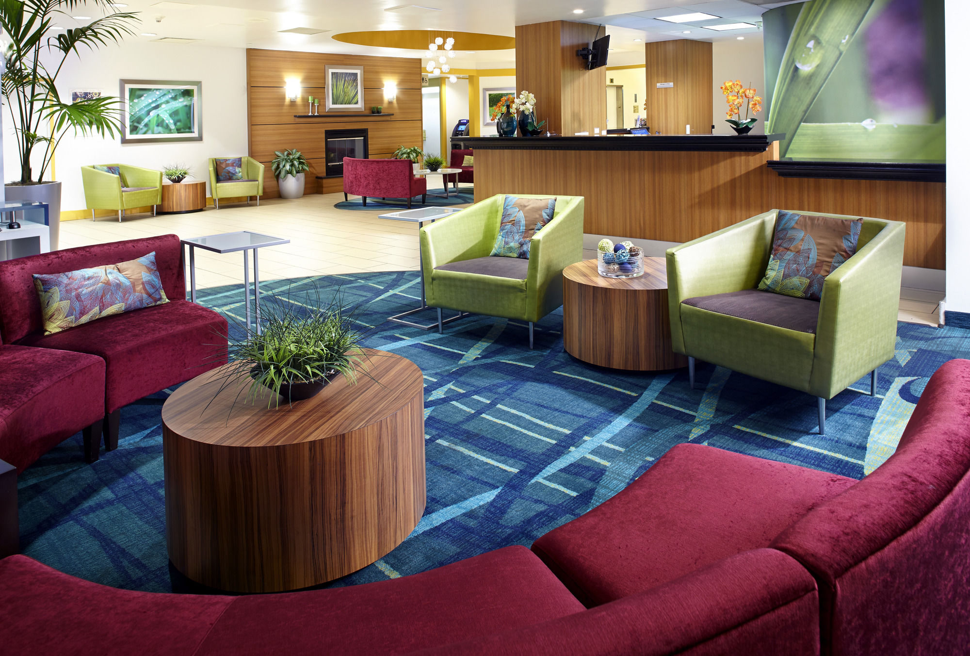 Фото SpringHill Suites Houston Medical Center/NRG Park