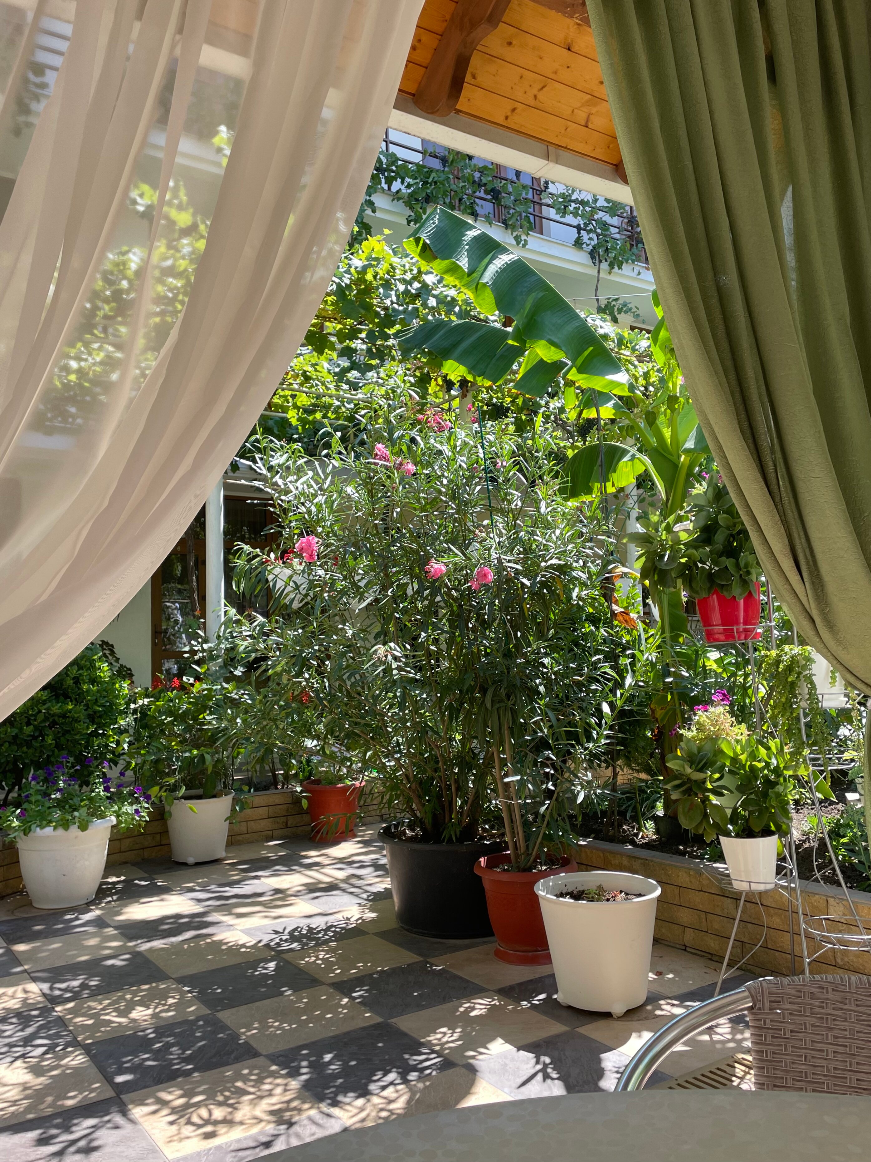 Фото Акварель